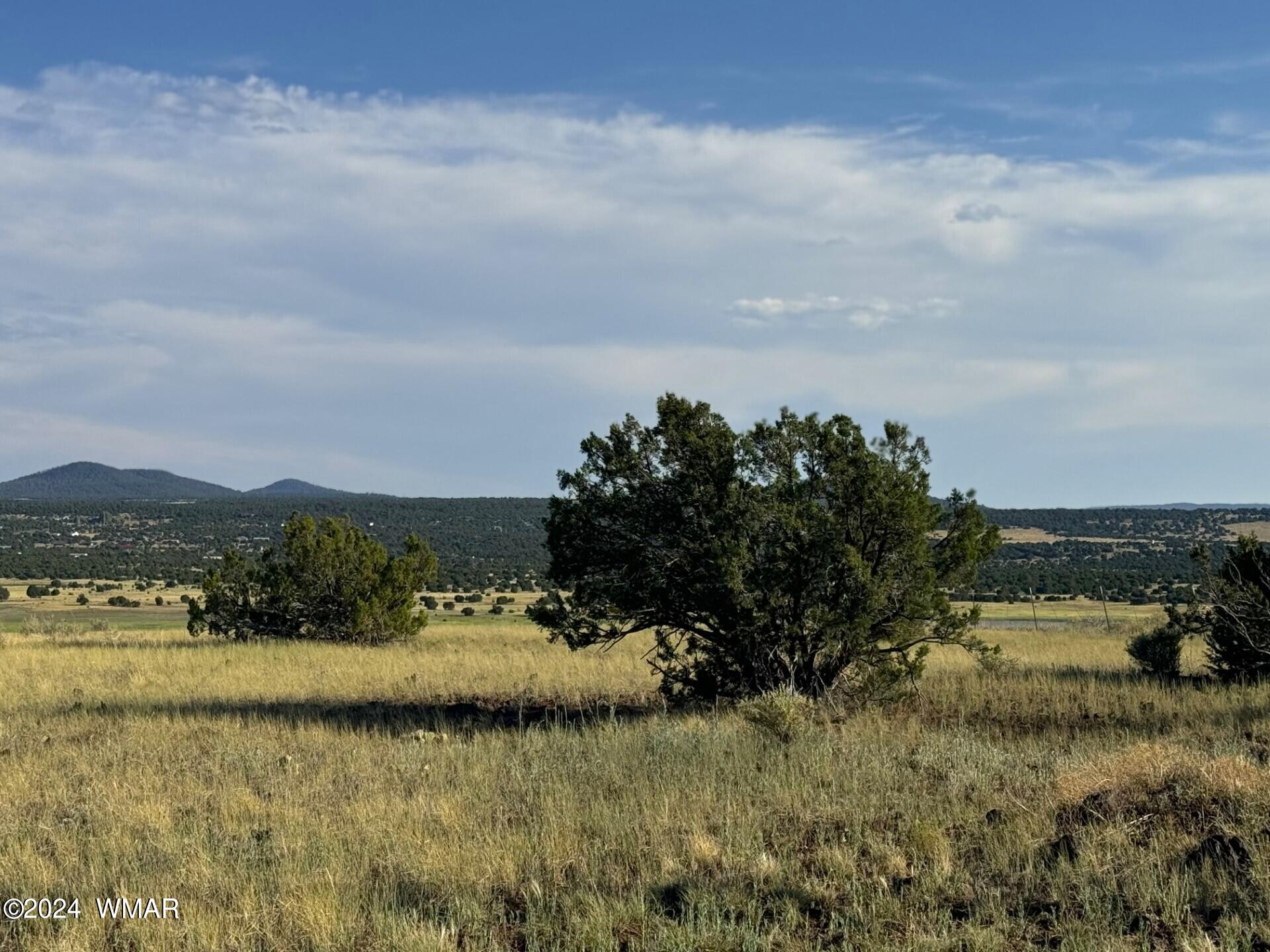 8147 North Concho, AZ 85924 - Photo 6 of 9 a view of lake with mountain