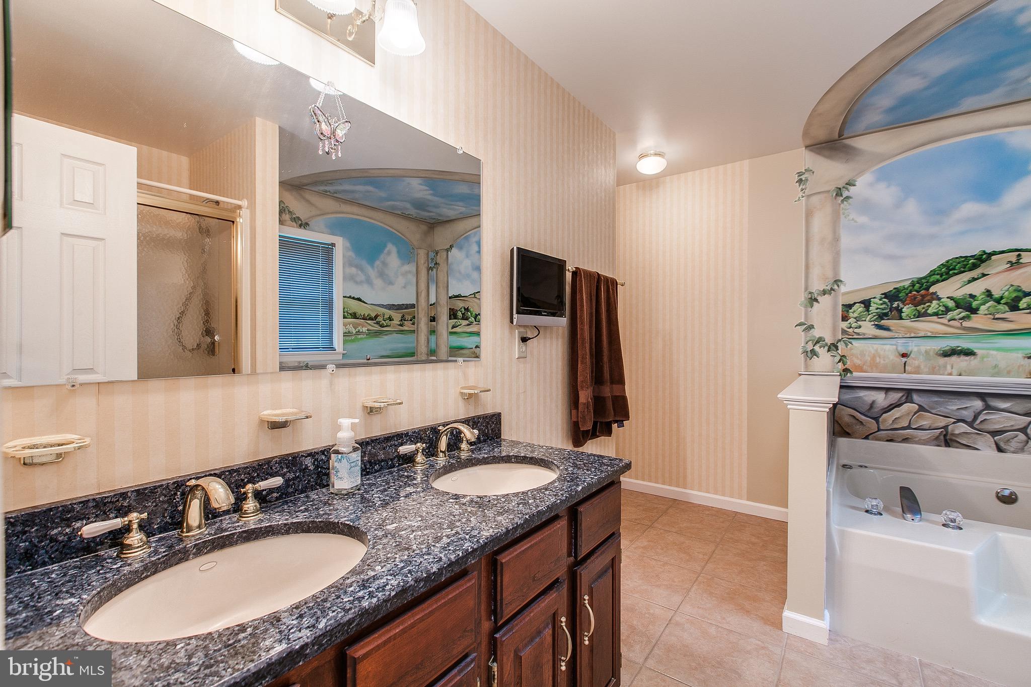 3926 Valley View Road Middletown, MD 21769 - Photo 18 of 73 Master bath