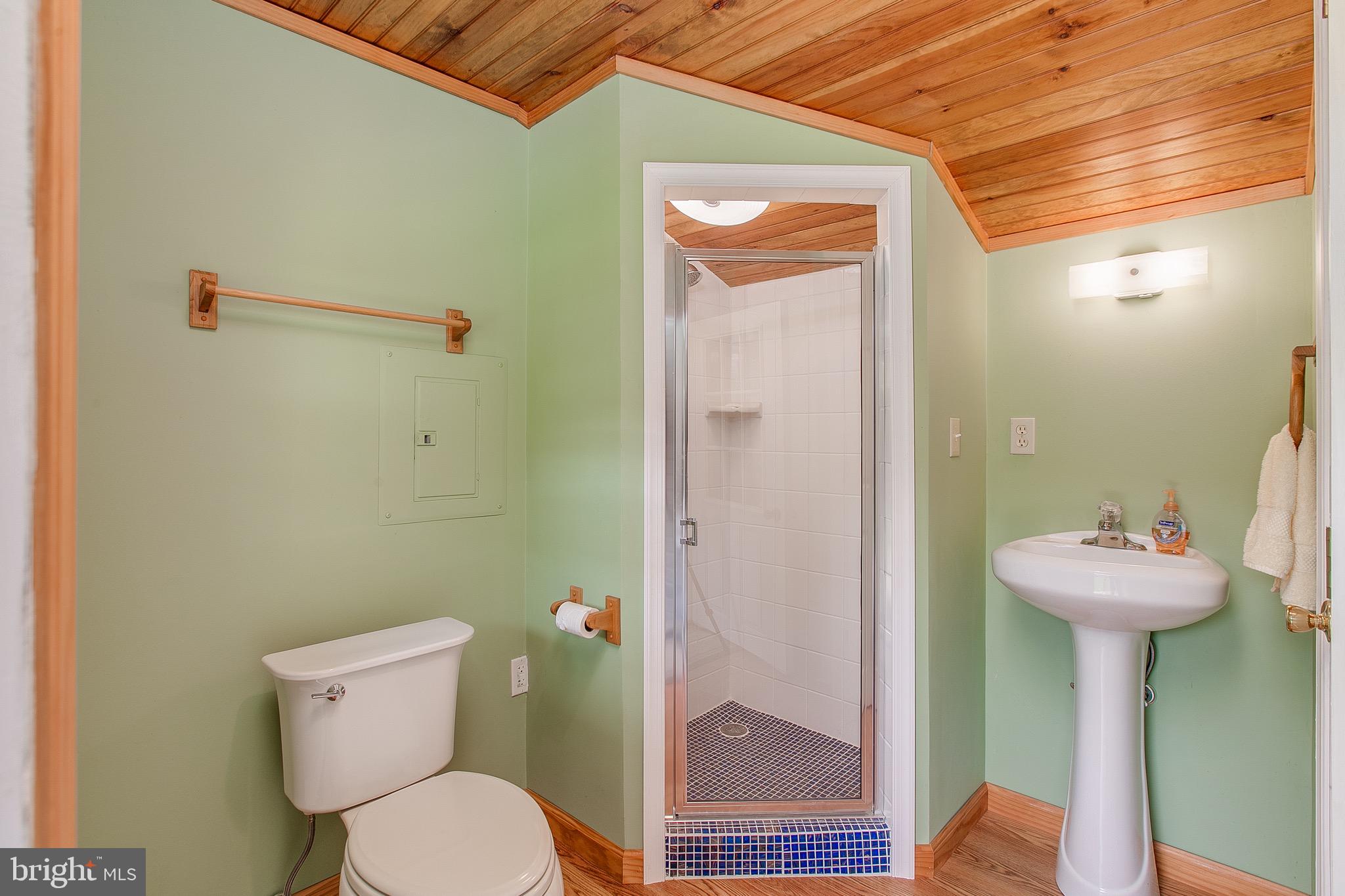 3926 Valley View Road Middletown, MD 21769 - Photo 45 of 73 Pool house bath