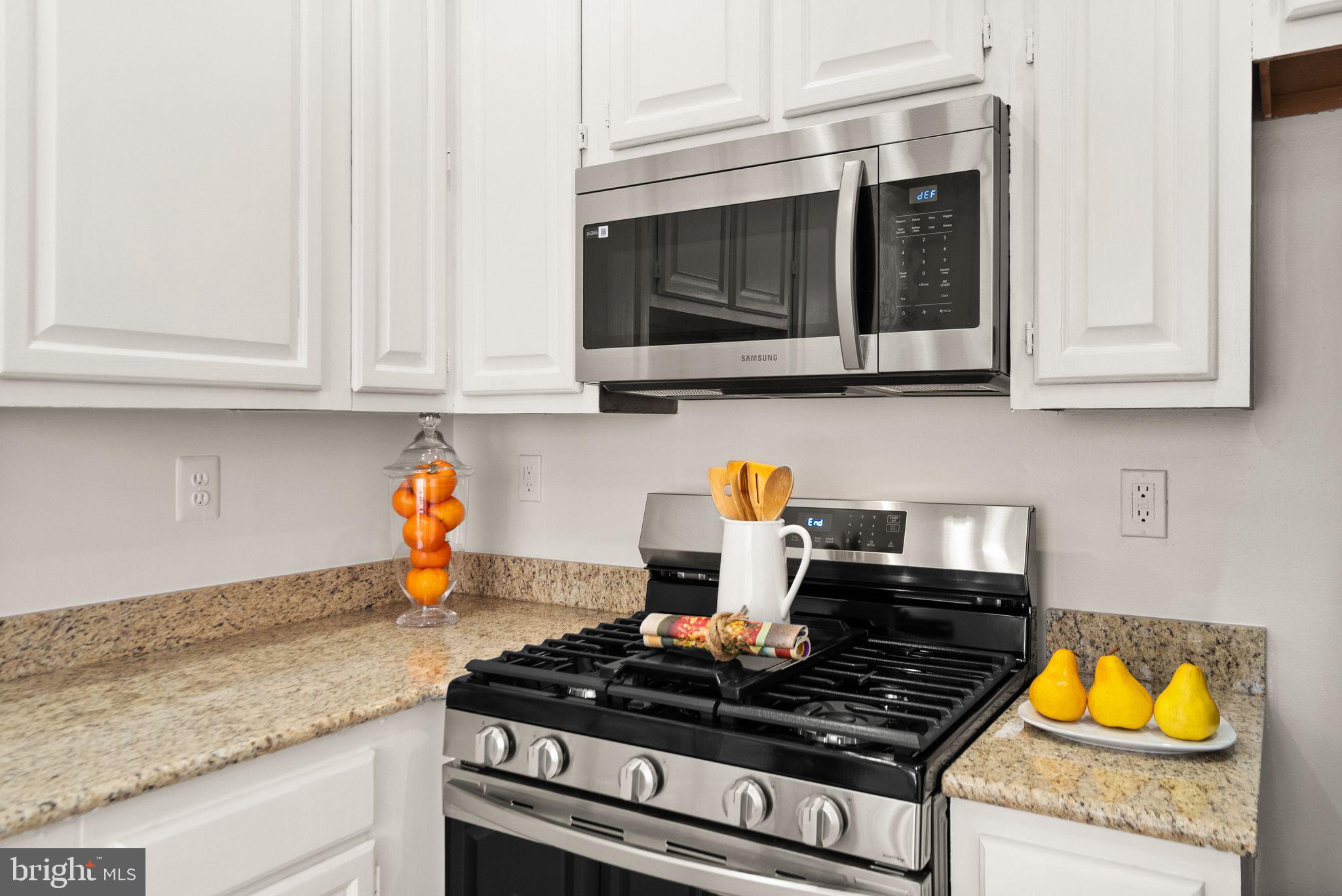 47621 Comer Square Sterling, VA 20165 - Photo 13 of 81 NEW STOVE