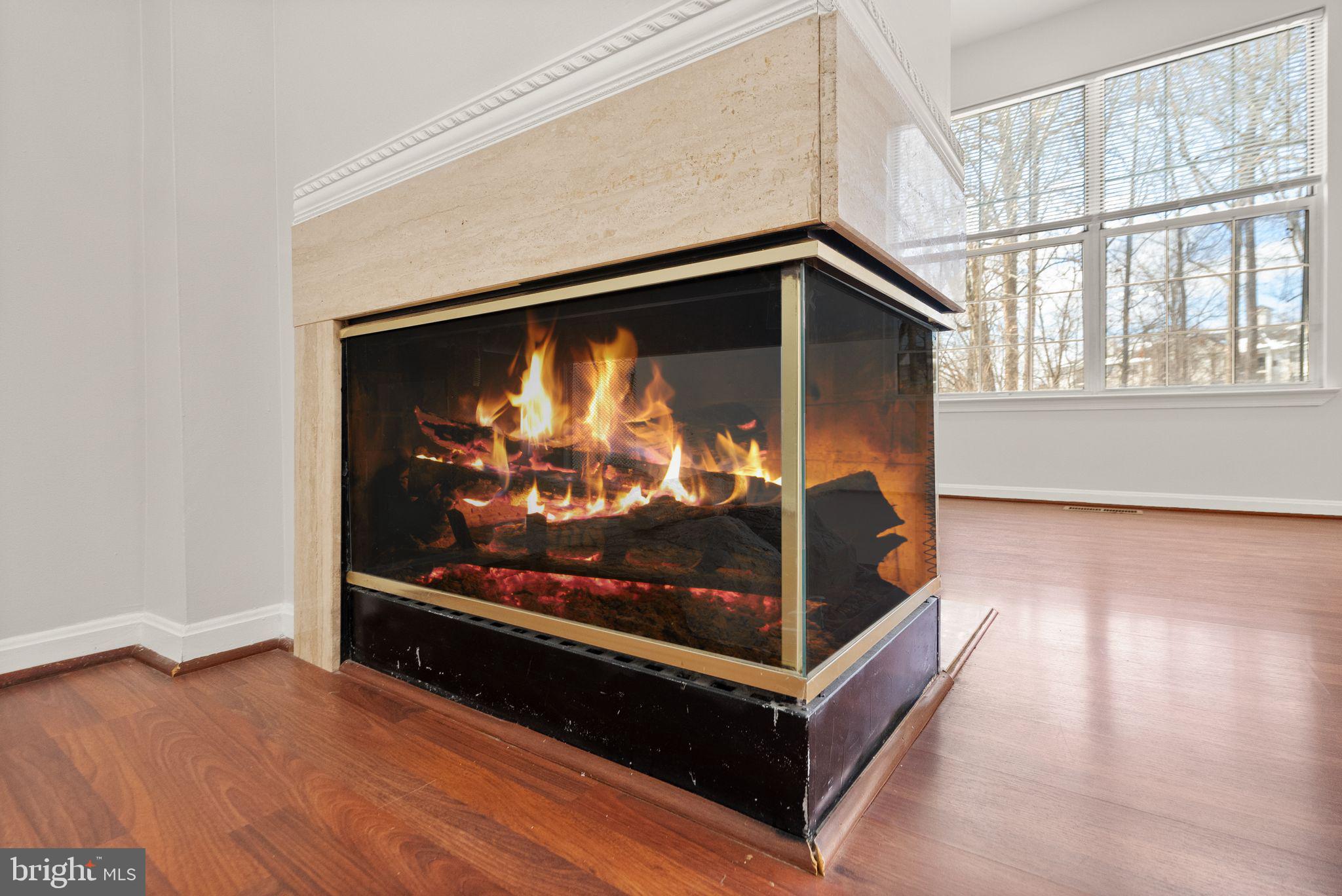 47621 Comer Square Sterling, VA 20165 - Photo 18 of 81 COZY DOUBLE-SIDED FIREPLACE