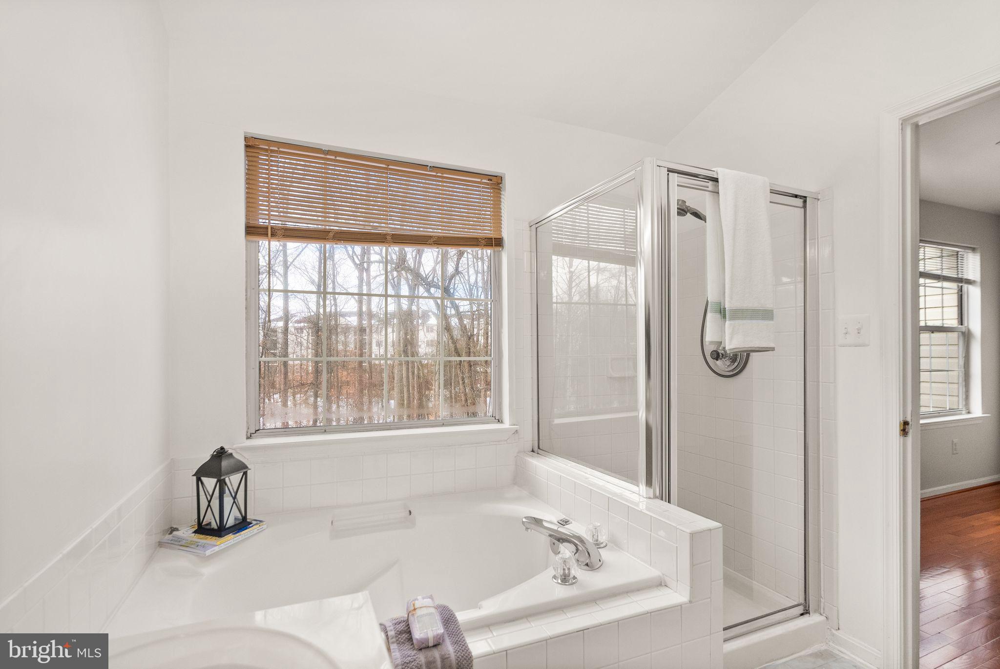 47621 Comer Square Sterling, VA 20165 - Photo 38 of 81 SEPARATE BATH AND SHOWER
