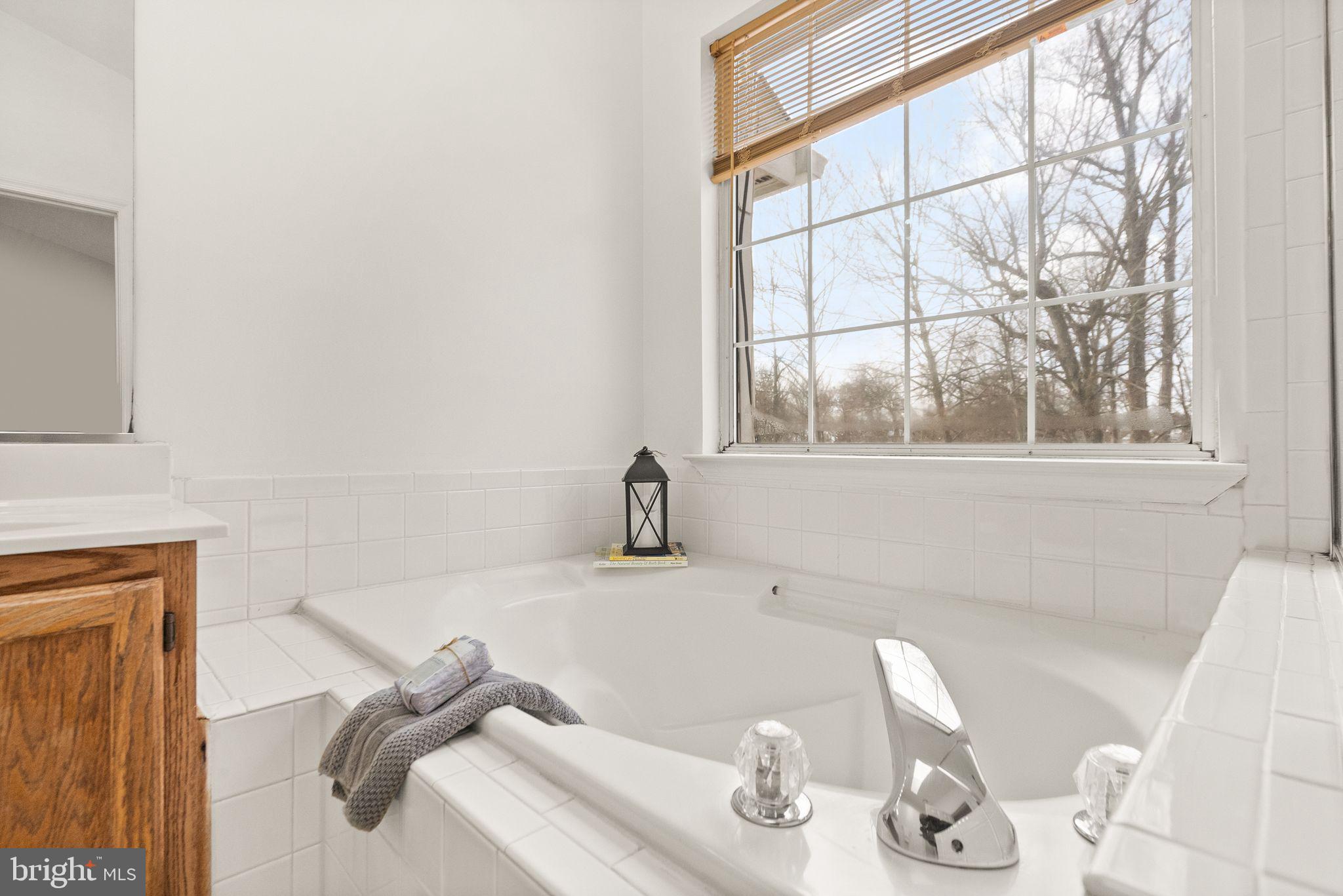 47621 Comer Square Sterling, VA 20165 - Photo 40 of 81 SPA BATH TUB