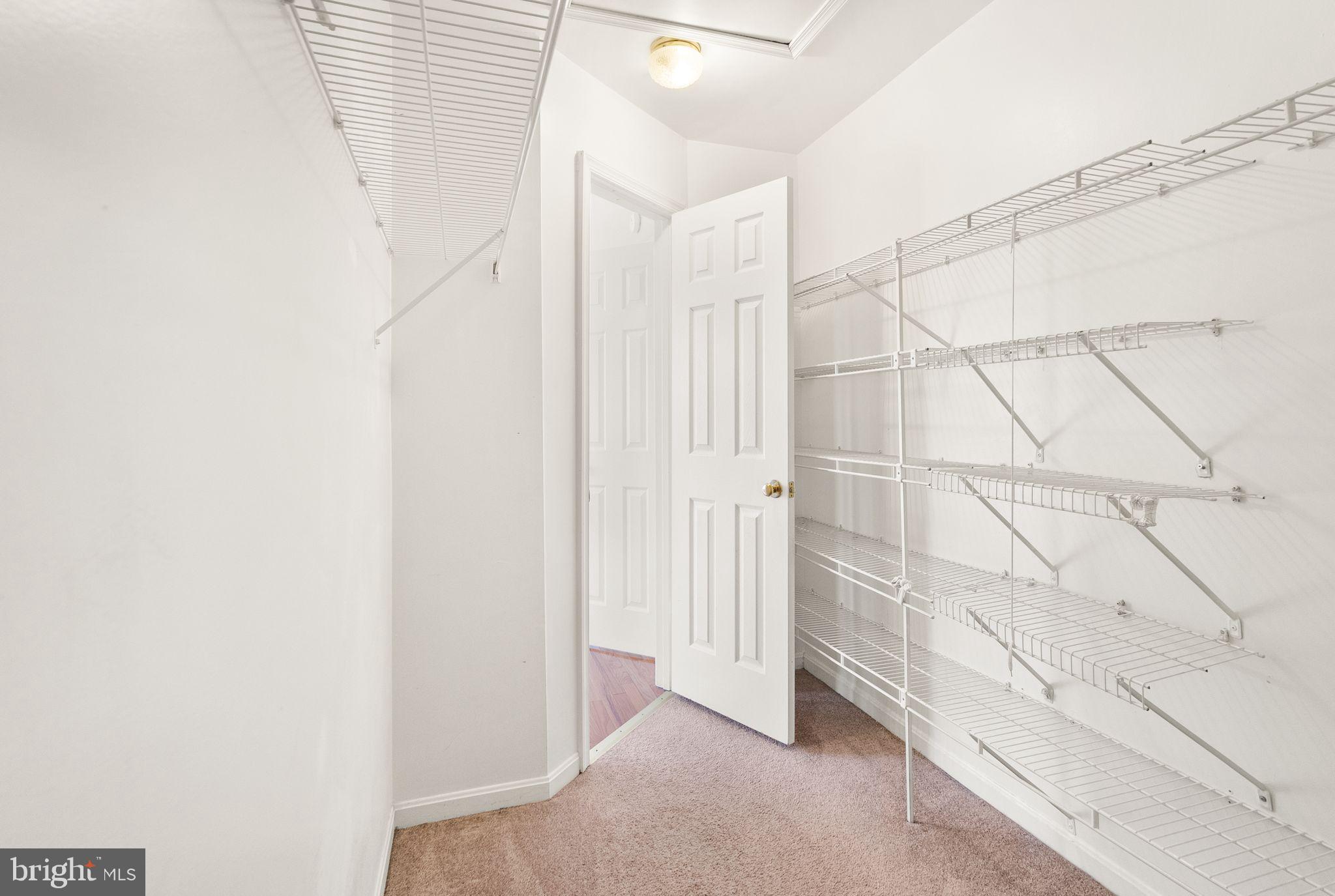 47621 Comer Square Sterling, VA 20165 - Photo 42 of 81 VIEW 2 LARGE WALK IN CLOSET