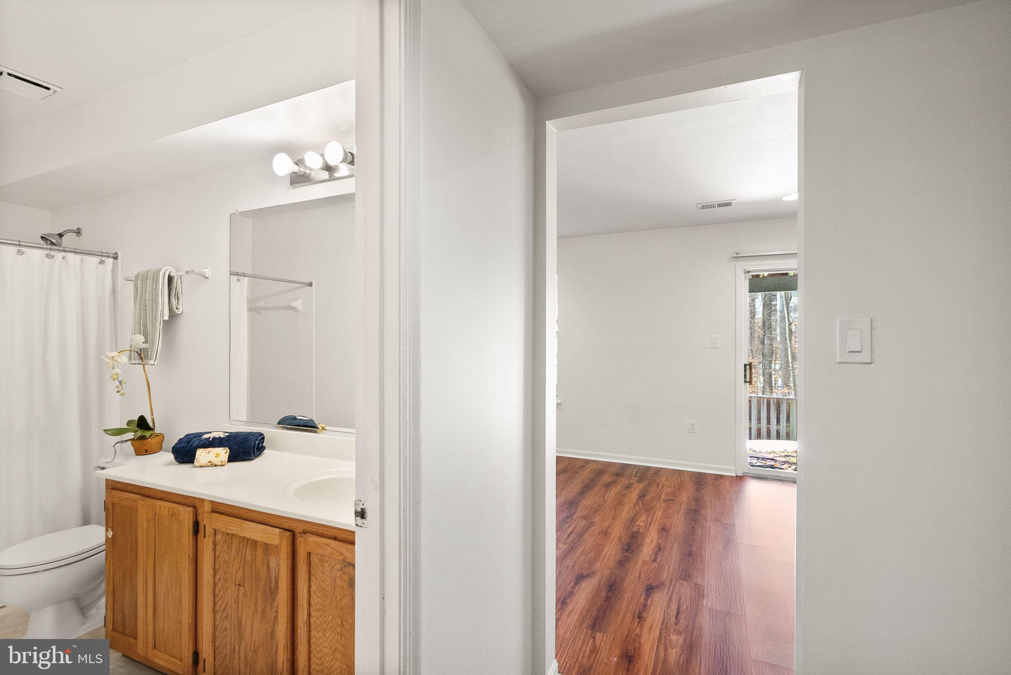 47621 Comer Square Sterling, VA 20165 - Photo 58 of 81 BASEMENT BEDROOM AND BATHROOM