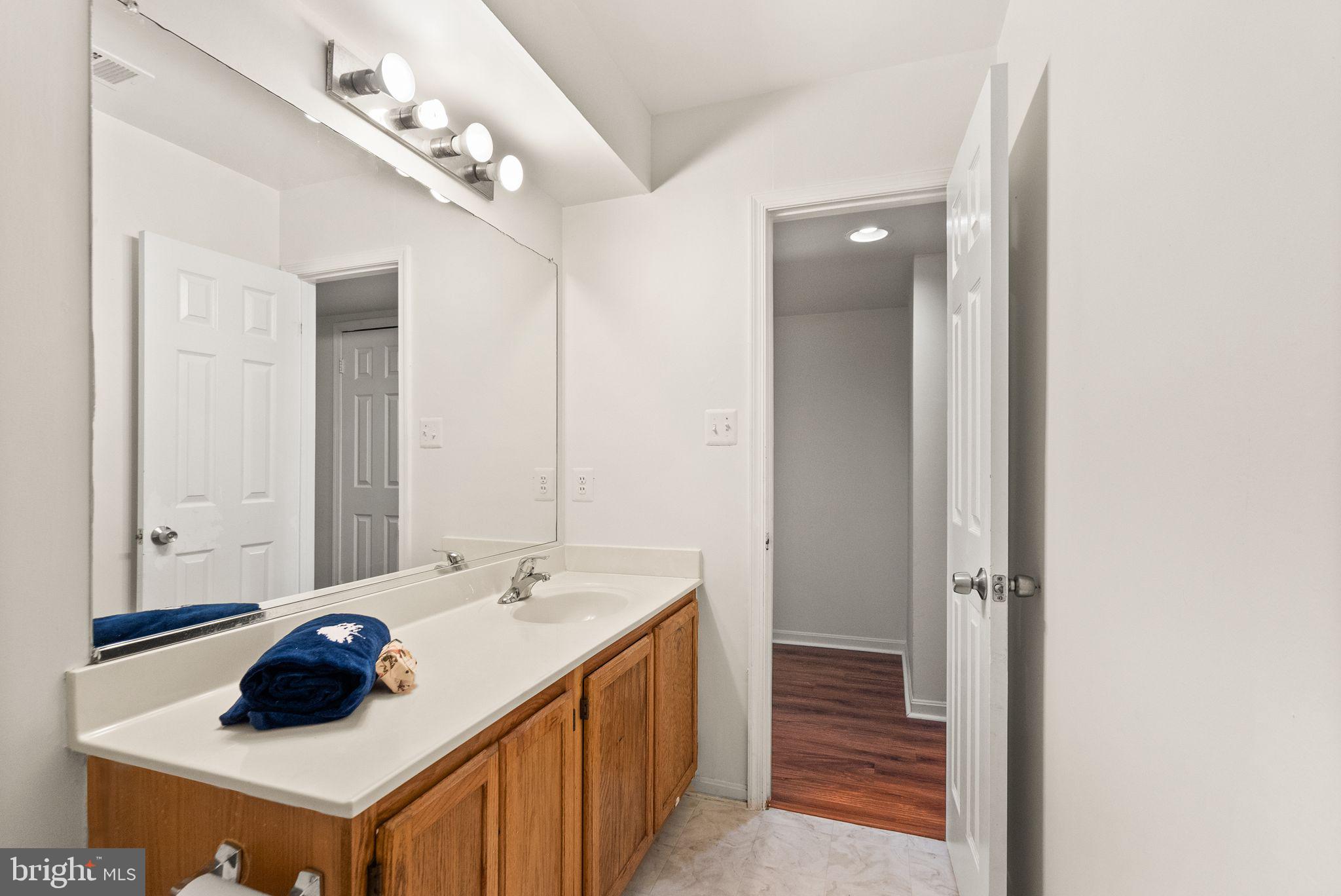 47621 Comer Square Sterling, VA 20165 - Photo 60 of 81 BASEMENT FULL BATHROOM