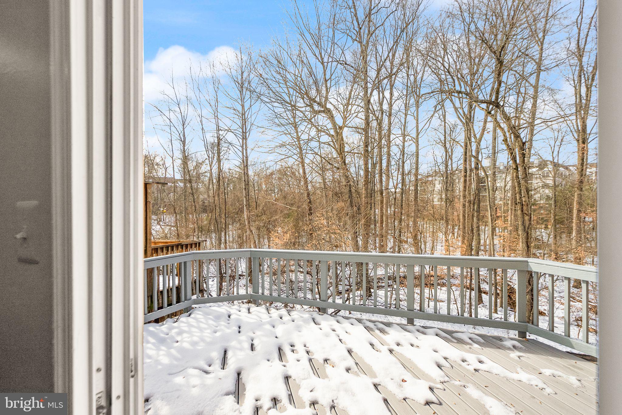 47621 Comer Square Sterling, VA 20165 - Photo 67 of 81 NEW TREX DECK