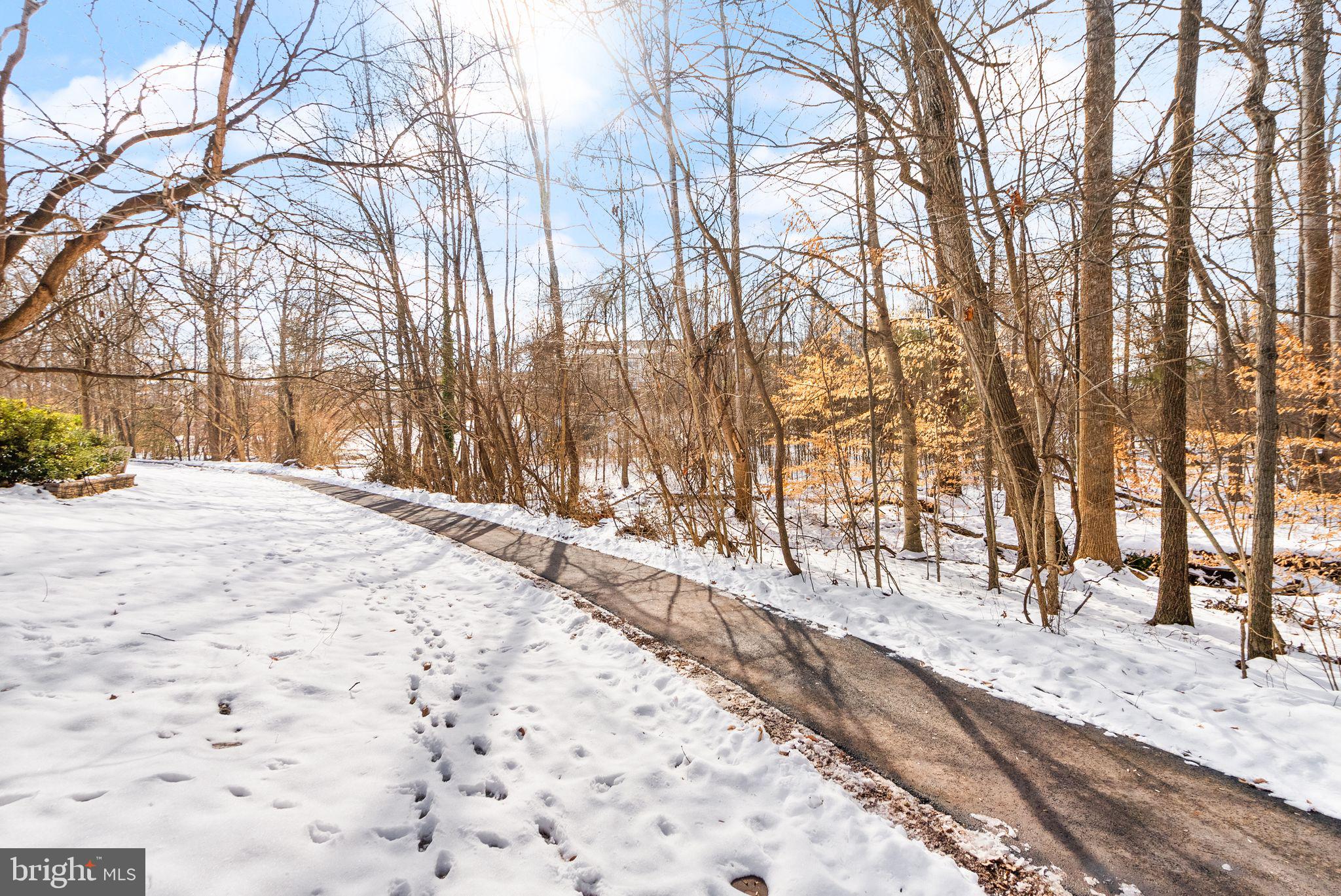 47621 Comer Square Sterling, VA 20165 - Photo 80 of 81 MORE WALKING TRAIL VIEWS