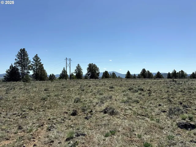 a view of a dry yard with trees and buildings in the background