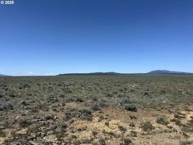 a view of a field with trees in the background