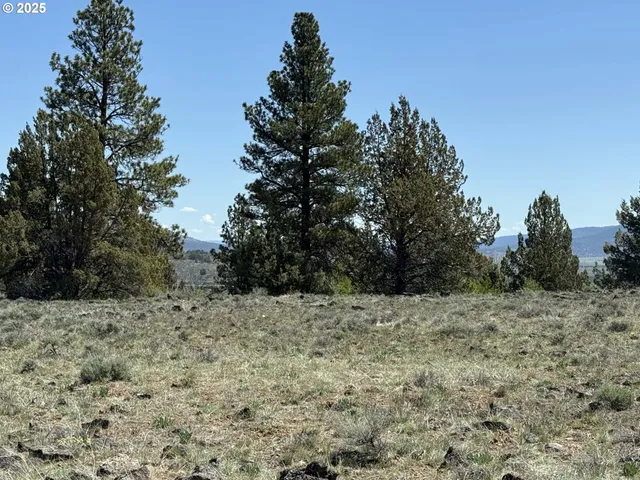 a view of a dry field with trees in the background
