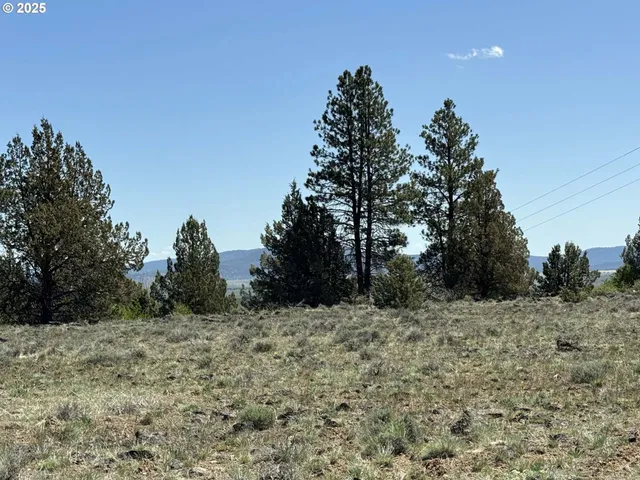a view of outdoor space with trees in the background