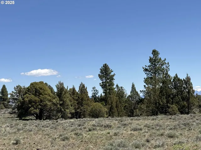 $8,000 | Rim Drive, Unit L 79, Chiloquin, OR 97624