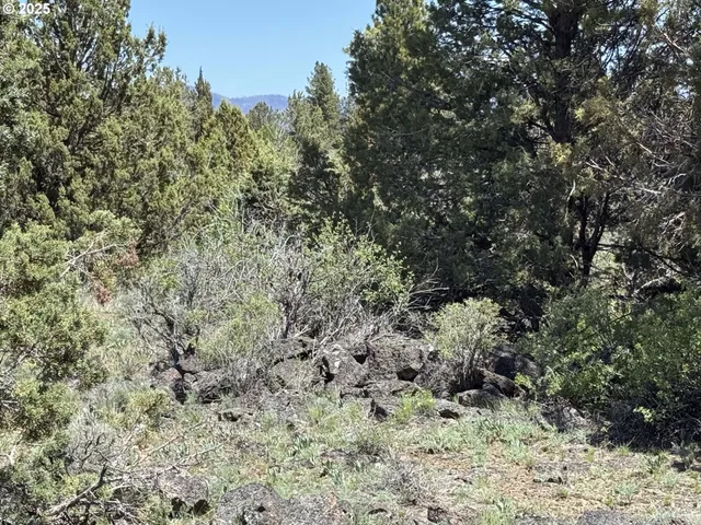 $8,000 | Rim Drive, Unit L 79, Chiloquin, OR 97624