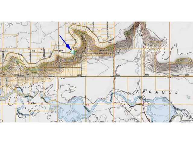 a black and white photo of a garden