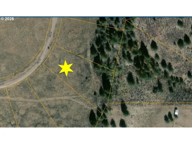 a view of a dry yard with trees