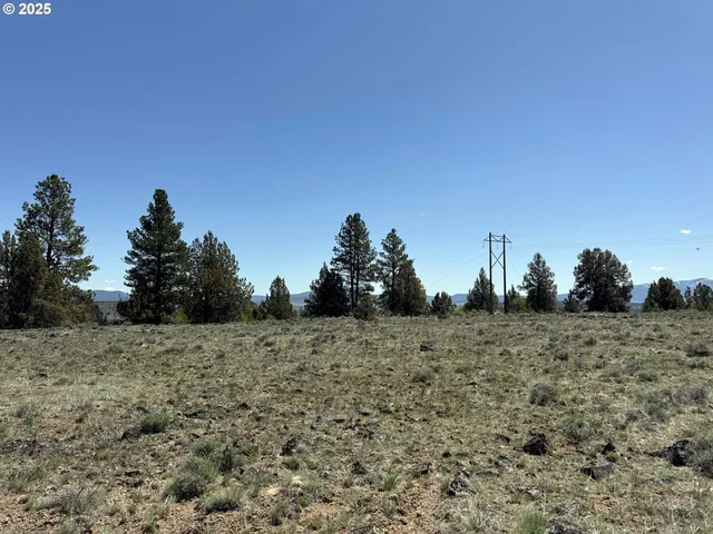 a view of dirt field and trees