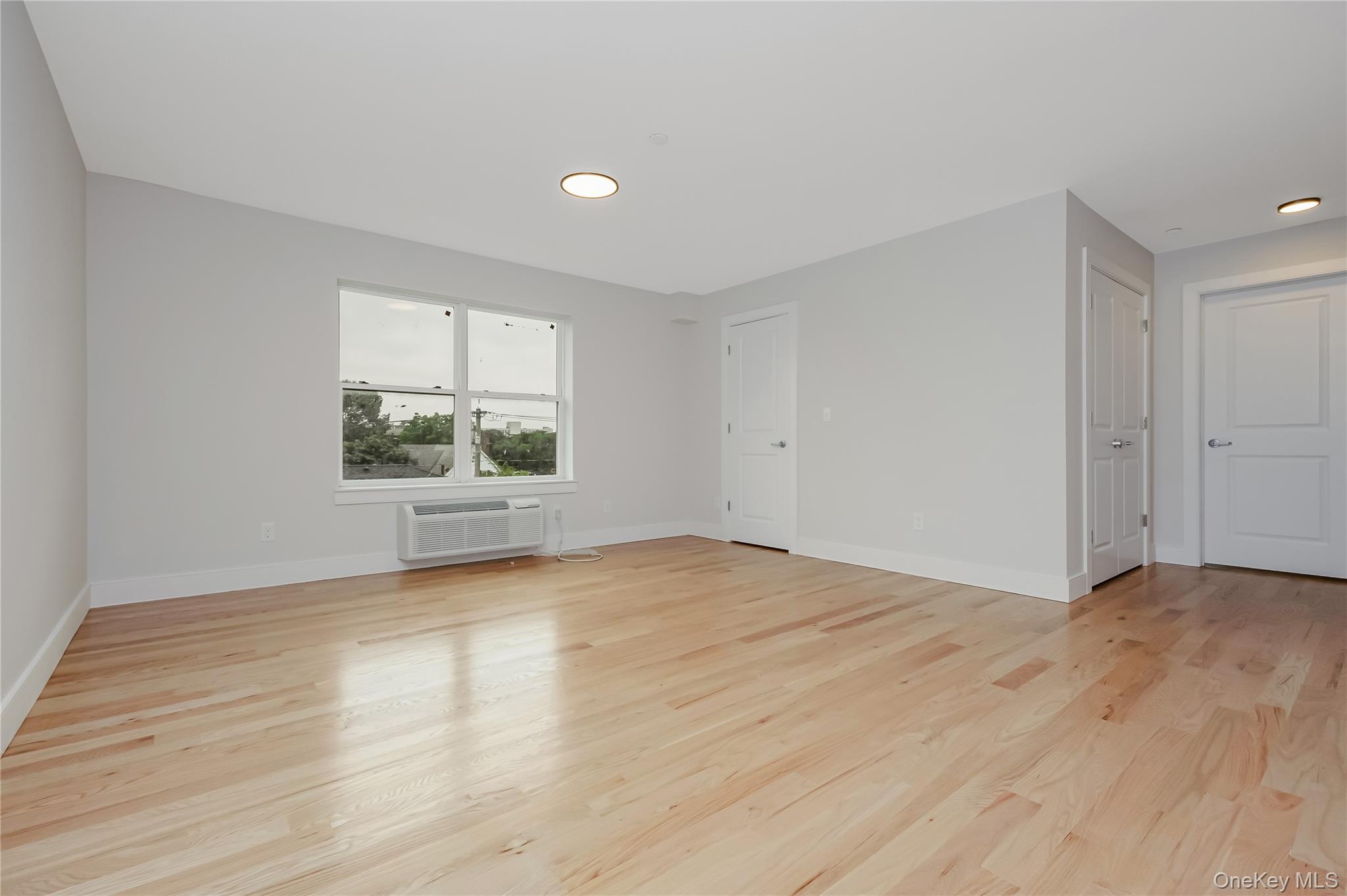 539 Front Street, Unit 4C Hempstead, NY 11550 - Photo 5 of 17 Spare room with light wood-style floors, a wall mounted air conditioner, and recessed lighting