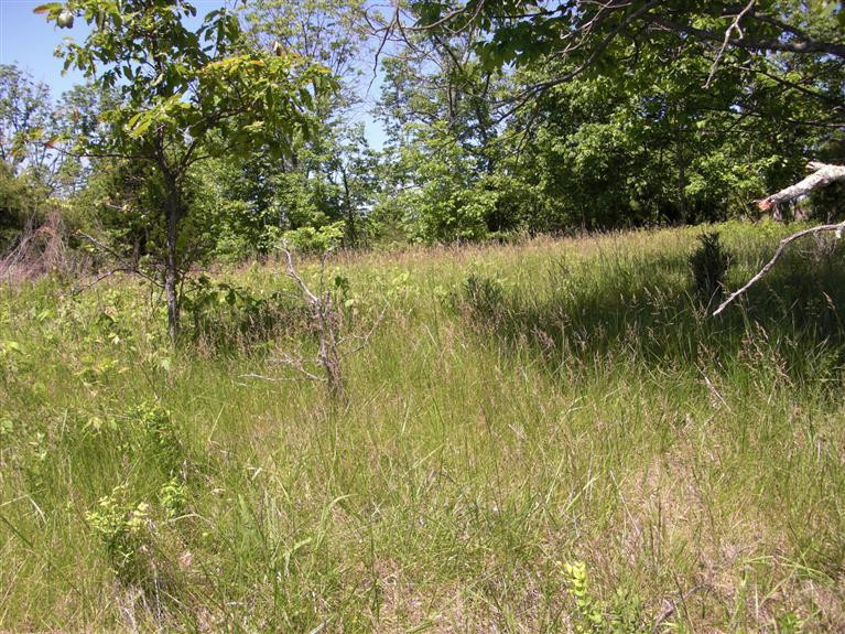 1 Northeast County Line Road Sadieville, KY 40370 - Photo 4 of 8 Photo 4