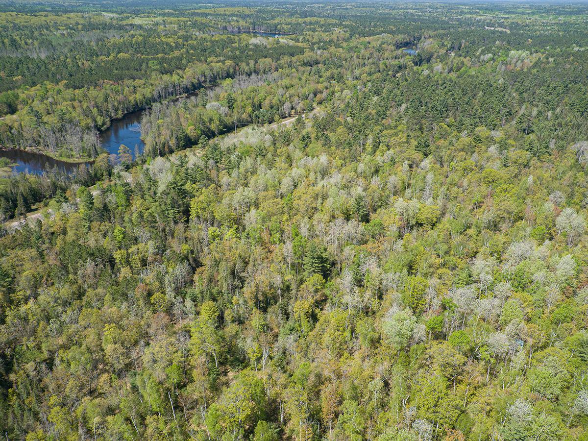 Off Sunset Road Eagle River, WI 54521 - Photo 2 of 33 Gallery Image 2
