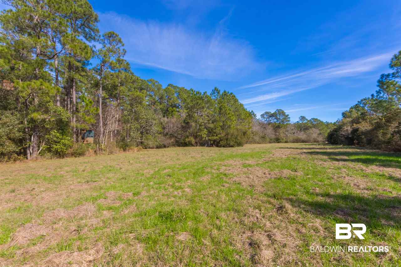 21801 County Road 28 Foley, AL 36535 - Photo 36 of 41