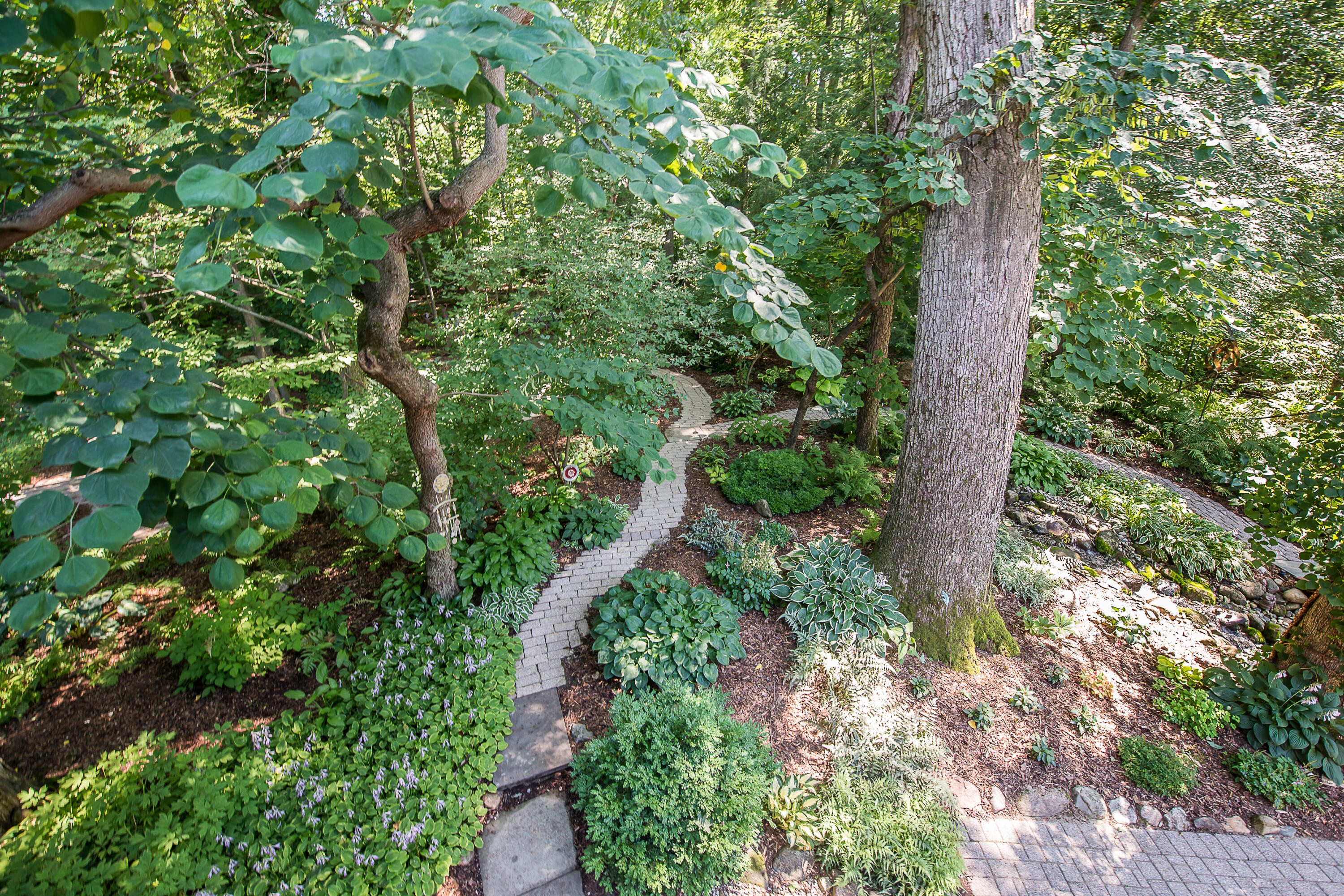 2980 Devonshire Road Ann Arbor, MI 48104 - Photo 51 of 92 DSC_4575