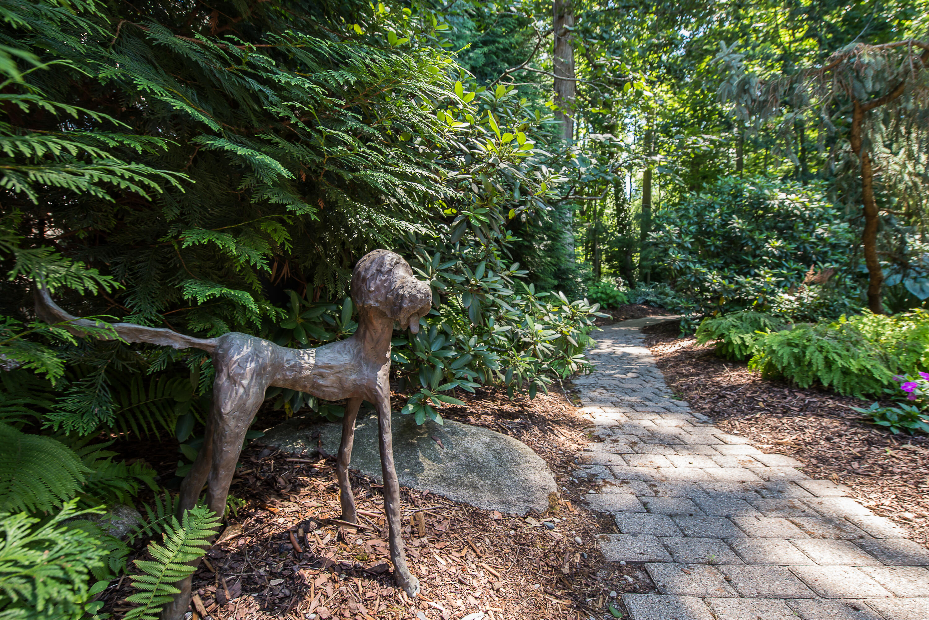 2980 Devonshire Road Ann Arbor, MI 48104 - Photo 65 of 92 DSC_3806