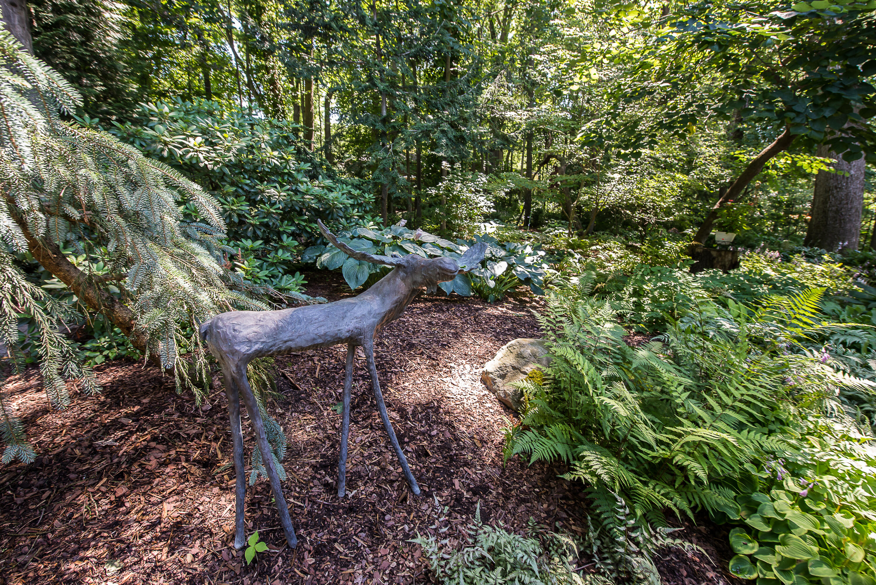 2980 Devonshire Road Ann Arbor, MI 48104 - Photo 66 of 92 DSC_3803