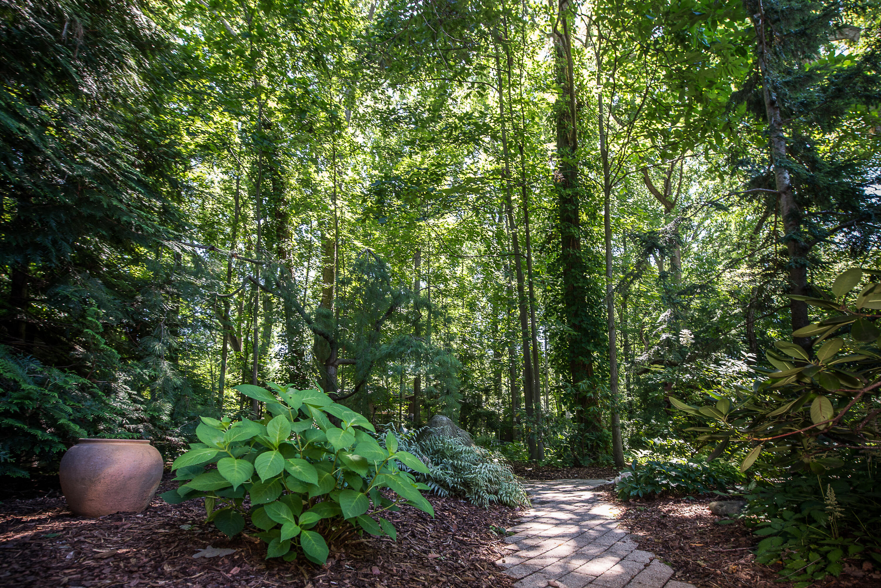 2980 Devonshire Road Ann Arbor, MI 48104 - Photo 67 of 92 DSC_3813