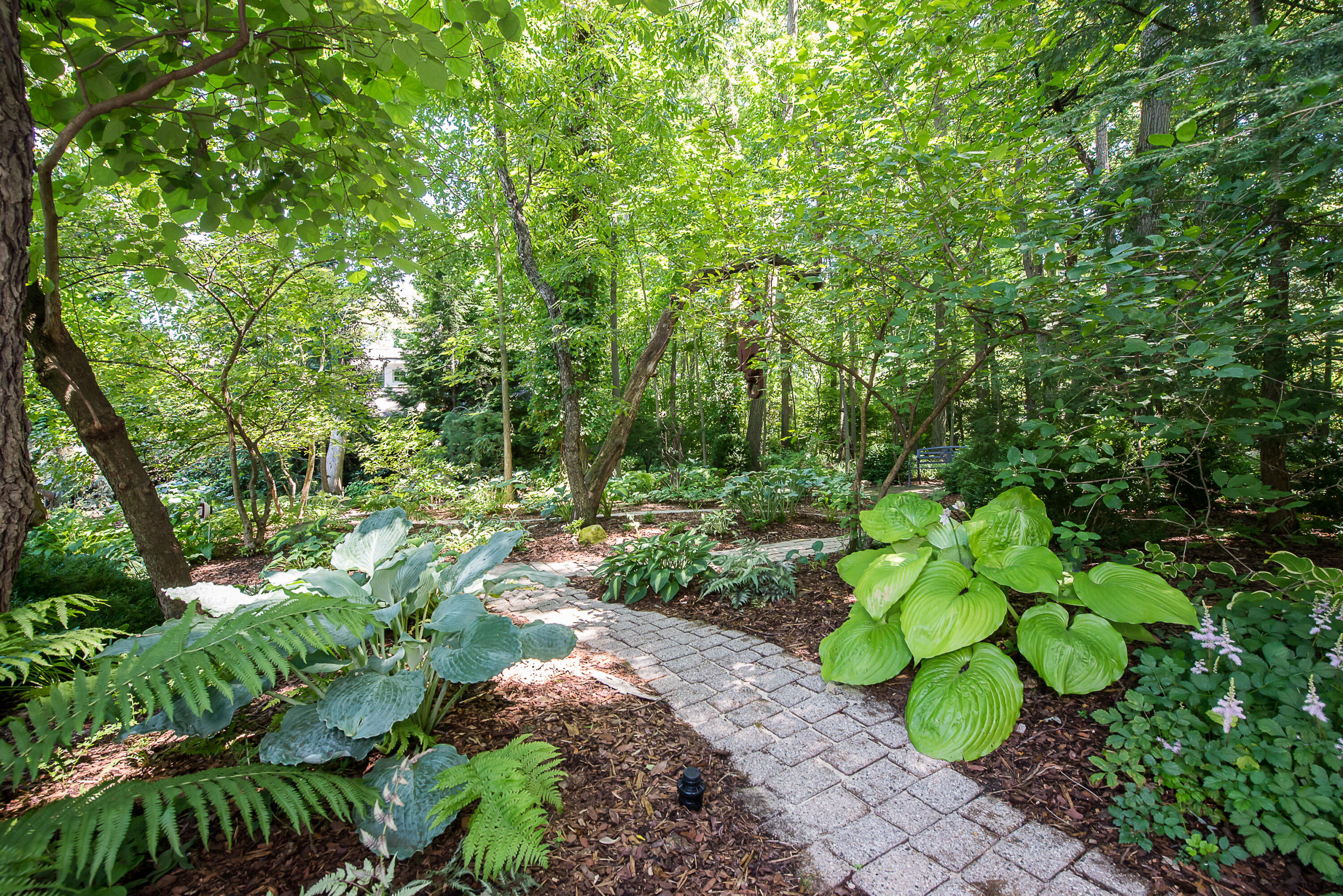 2980 Devonshire Road Ann Arbor, MI 48104 - Photo 75 of 92 DSC_3867