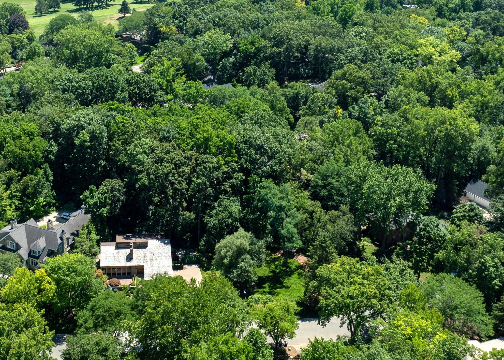 2980 Devonshire Road Ann Arbor, MI 48104 - Photo 89 of 92 DJI_0694c