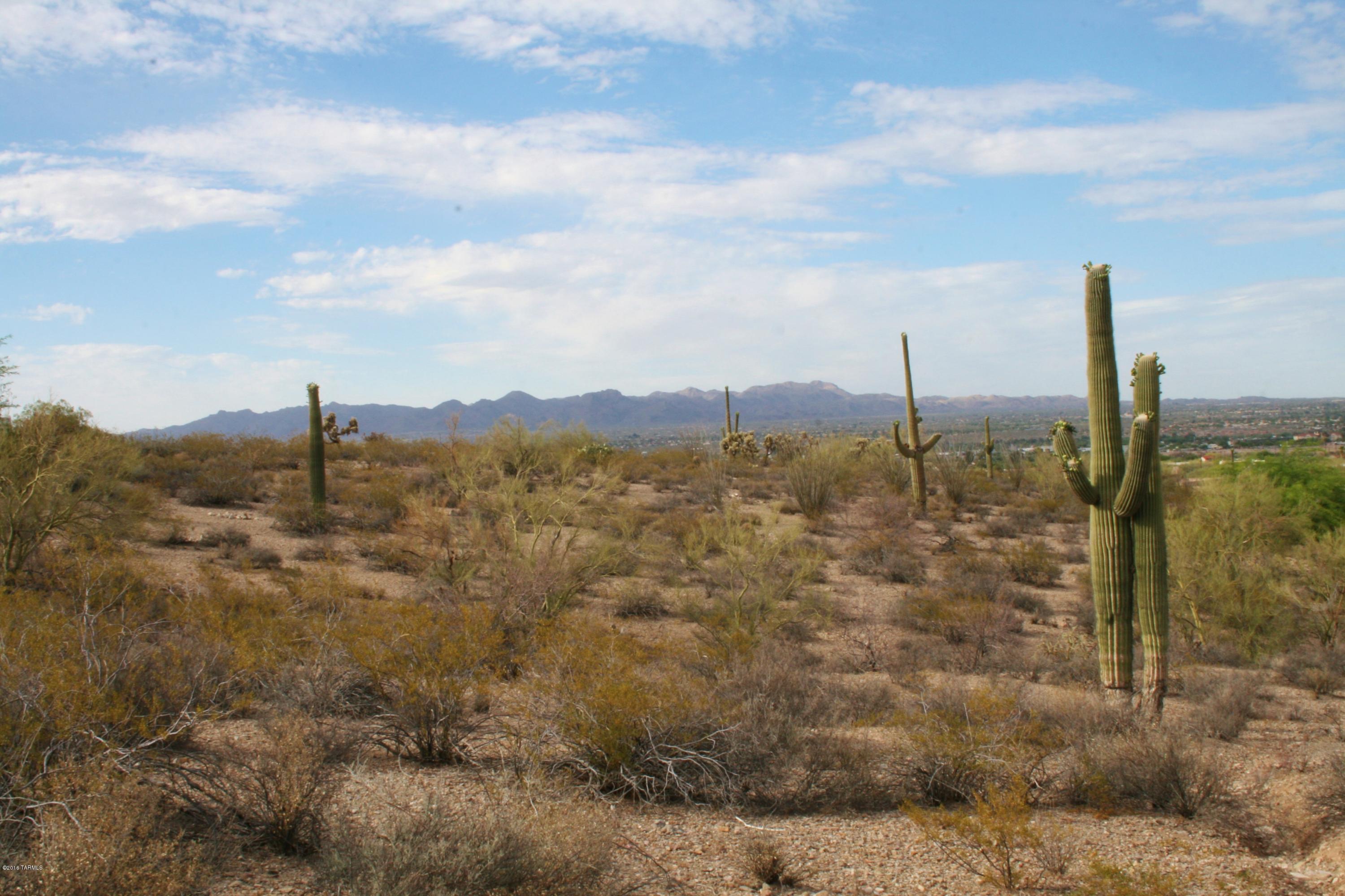 6075 North Abington Road, Unit LOT 4 Tucson, AZ 85743 - Photo 6 of 31