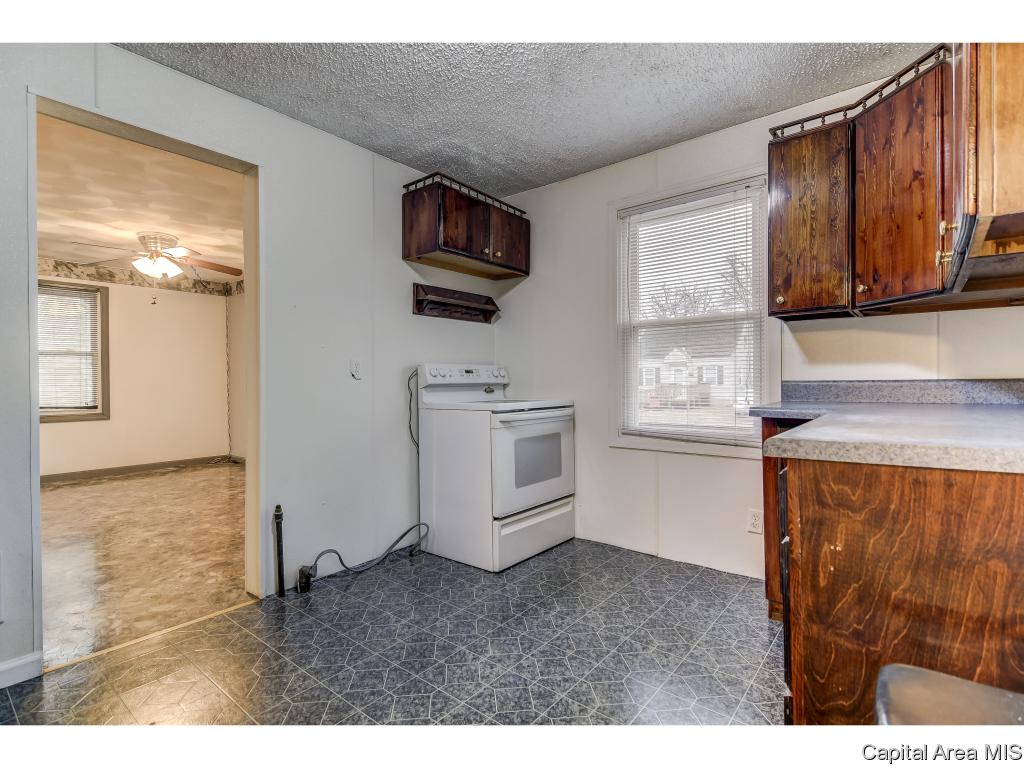 2229 East Keys Avenue Springfield, IL 62702 - Photo 8 of 31
