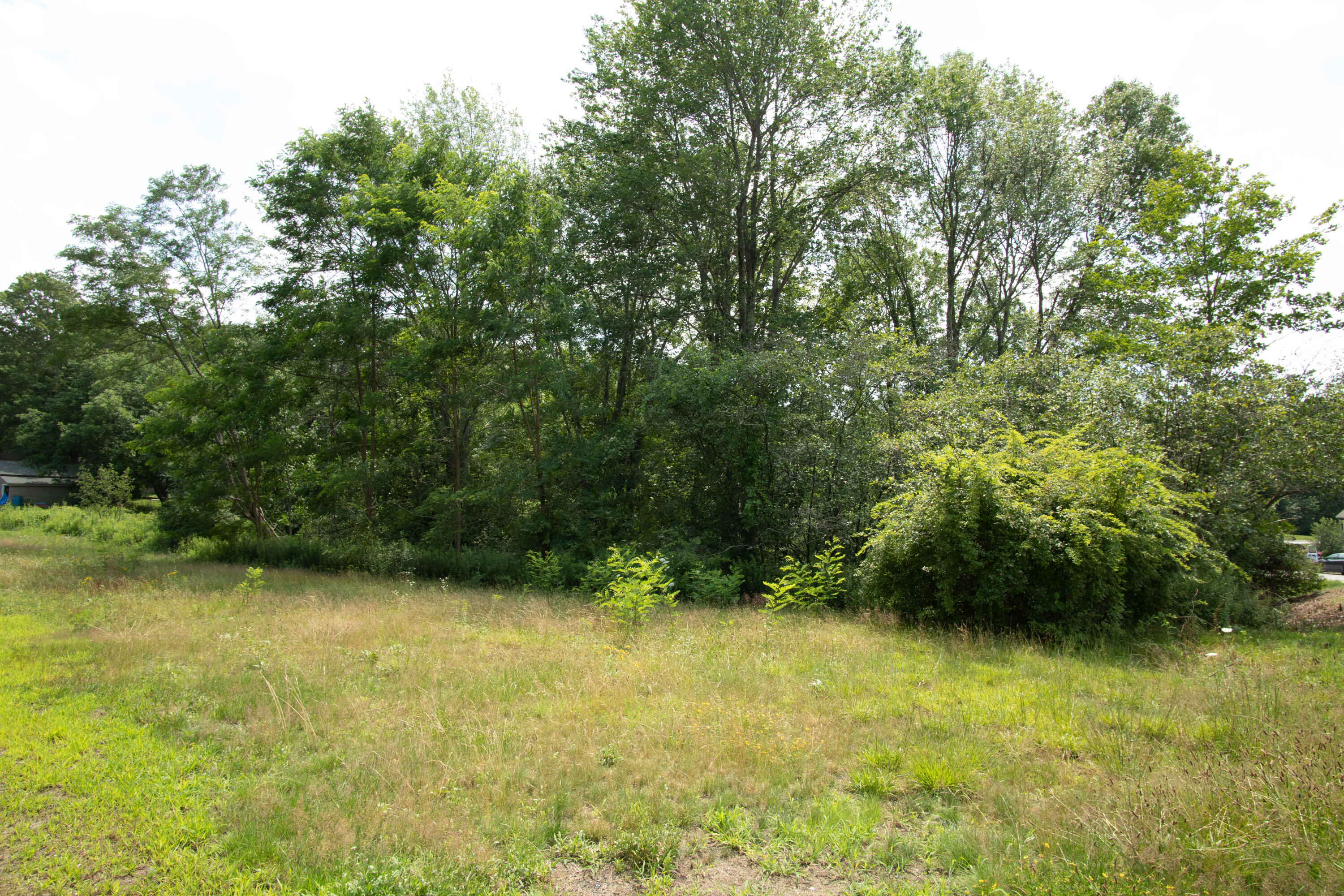 Lot 1 Old Mill Road South Berwick, ME 03908 - Photo 4 of 5 IMG_3559