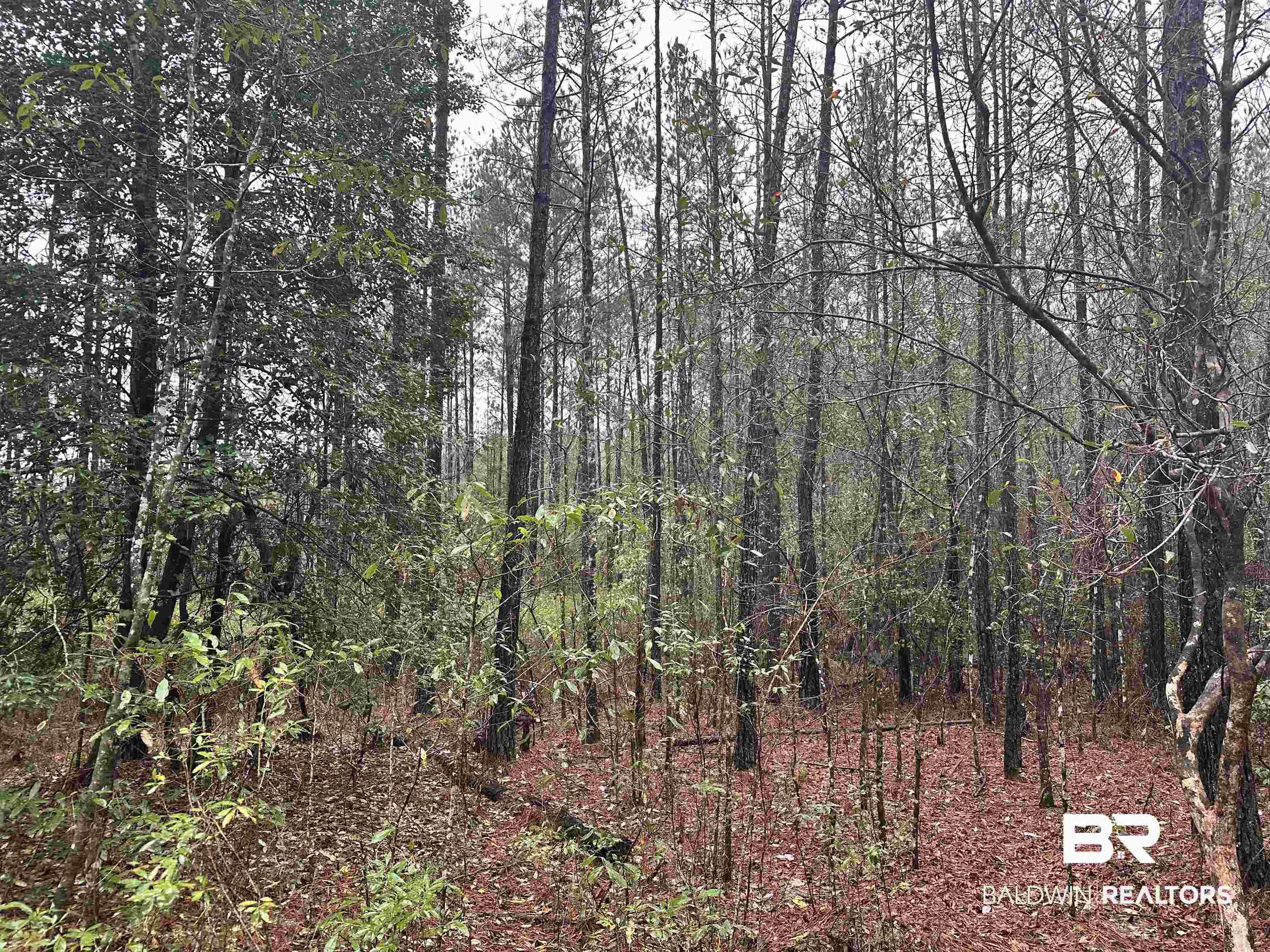 4549 J D Howard Road Tibbie, AL 36583 - Photo 29 of 33
