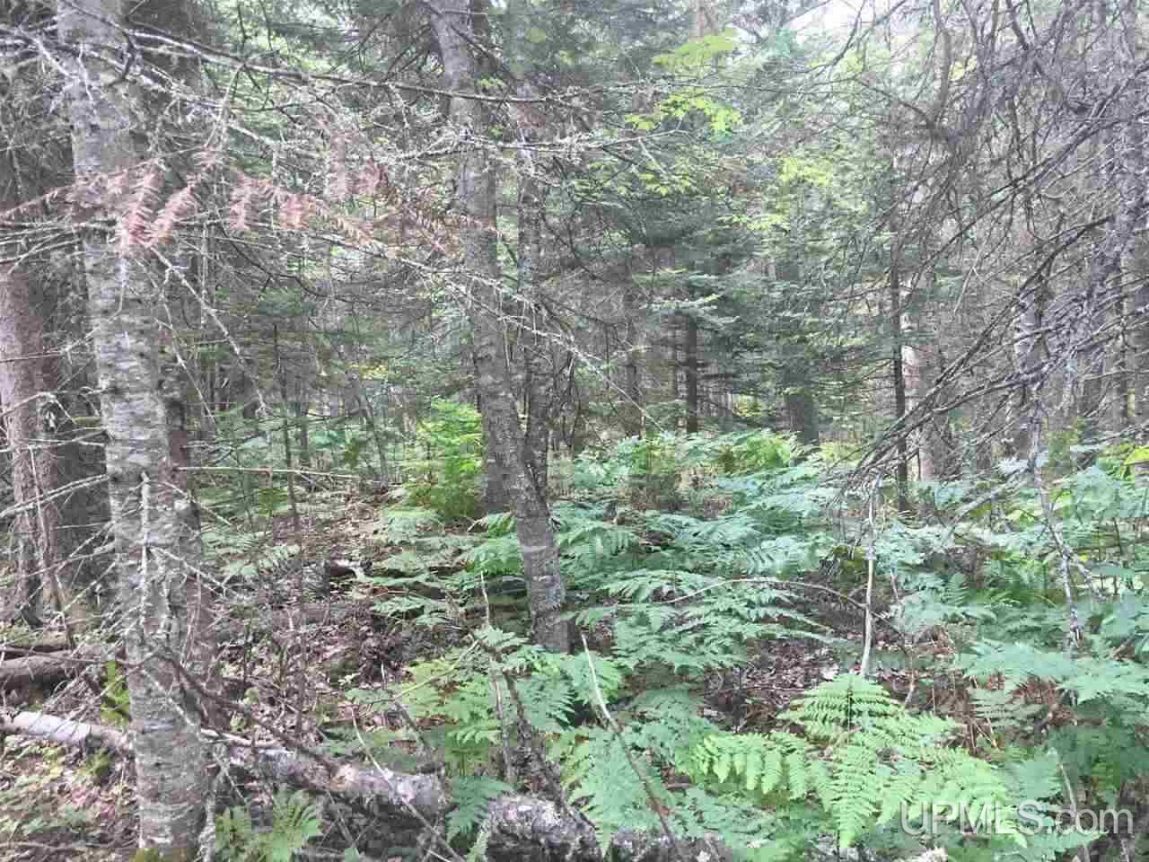 Tbd Simons Lake Road Republic, MI 49879 - Photo 17 of 25 Gallery Image 17