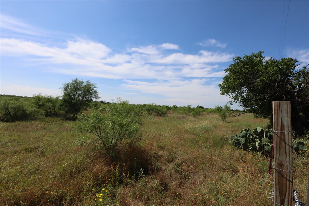 807 County Road 215 Rising Star, TX 76471 - Photo 3 of 9 a view of a lake with a yard