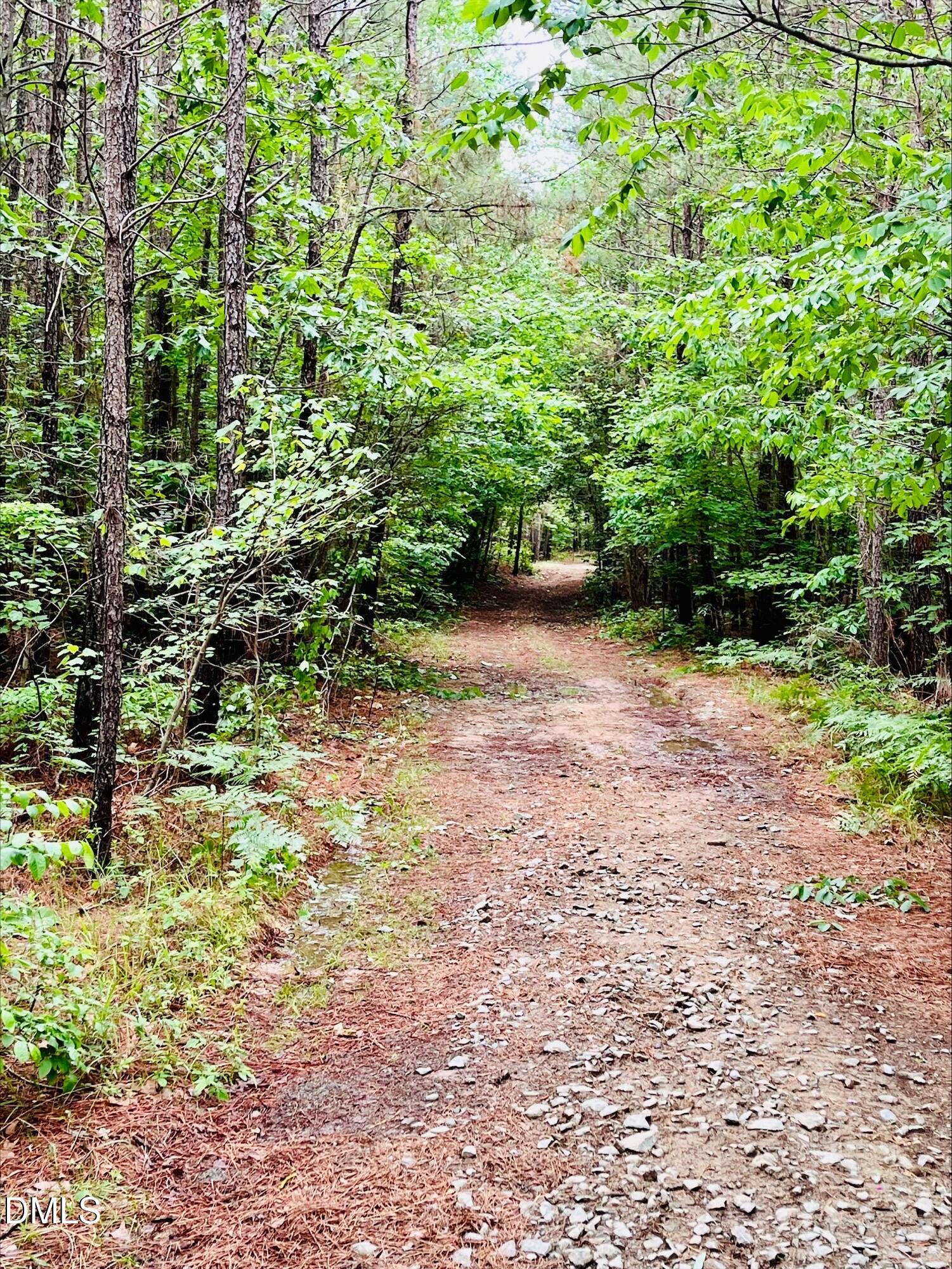0 South Plank Road, Unit TRACK 2 Sanford, NC 27330 - Photo 10 of 39 a view of a yard with plants and large trees