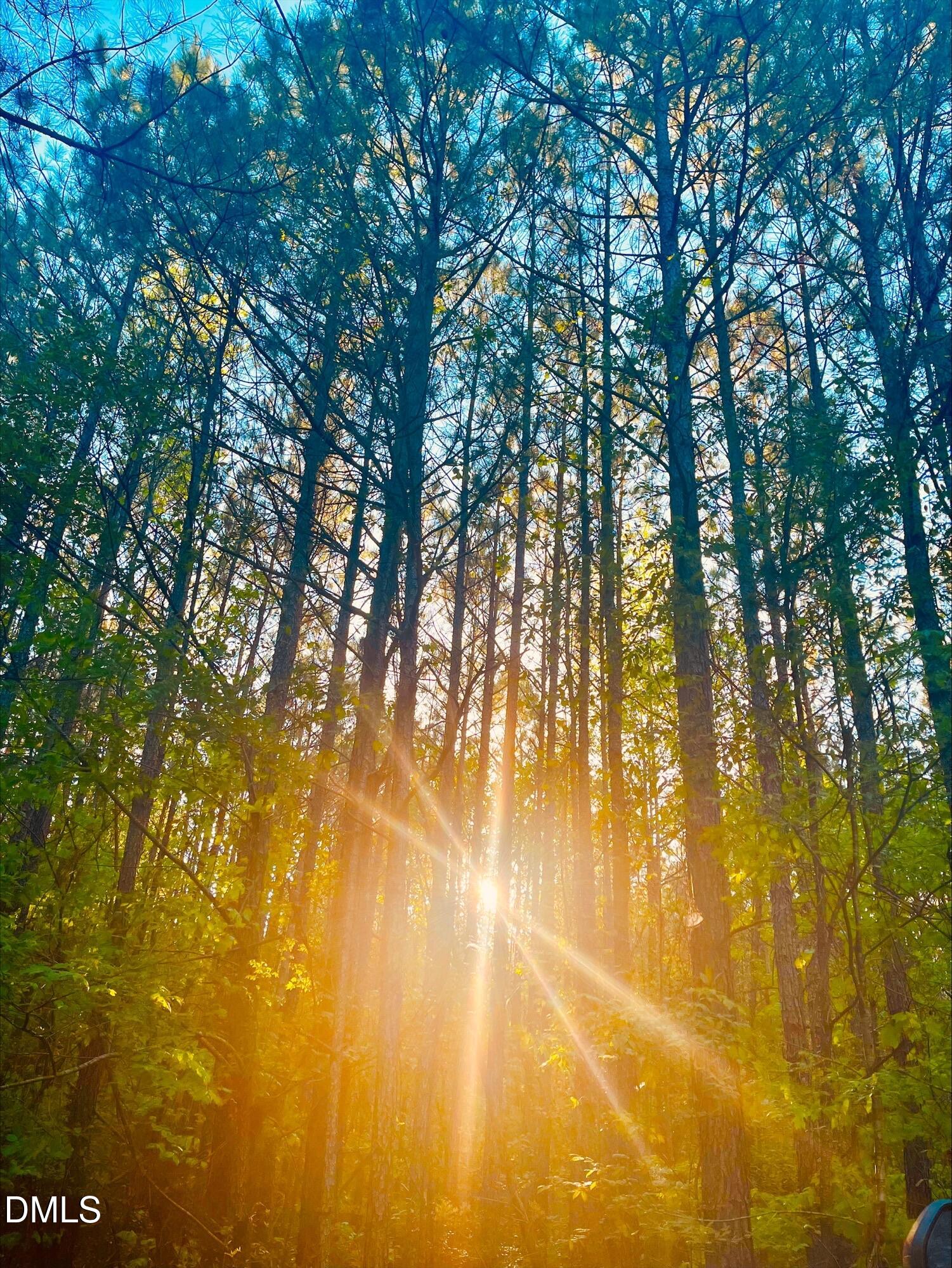 0 South Plank Road, Unit TRACK 2 Sanford, NC 27330 - Photo 11 of 39 a view of yard with swimming pool