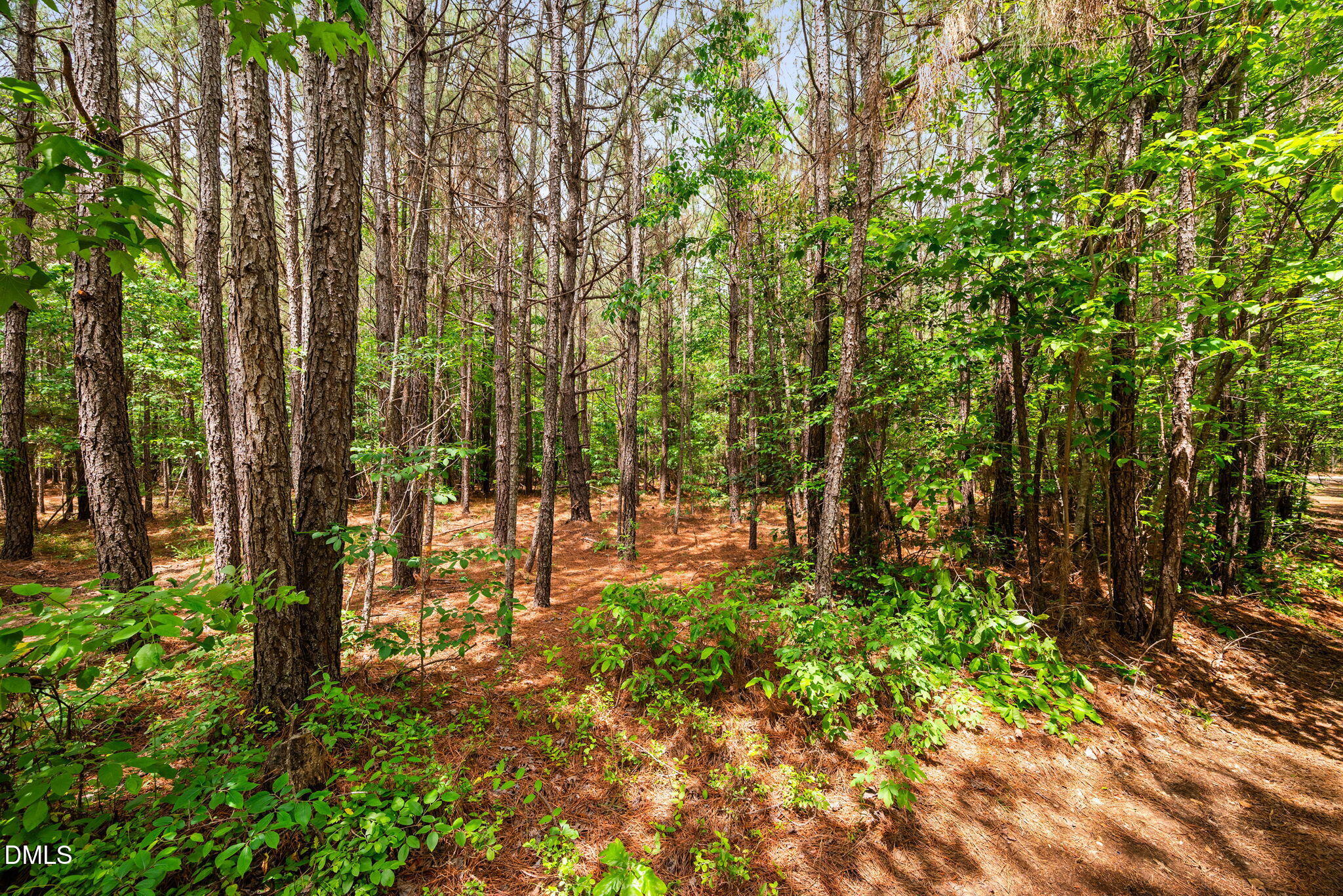 0 South Plank Road, Unit TRACK 2 Sanford, NC 27330 - Photo 14 of 39 a view of yard with green space