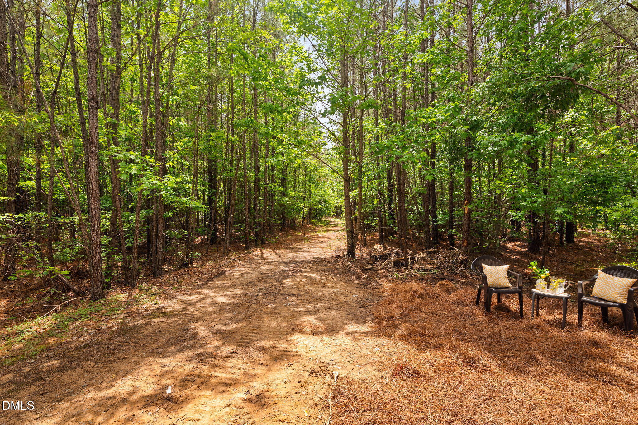 0 South Plank Road, Unit TRACK 2 Sanford, NC 27330 - Photo 15 of 39 a view of a forest with lots of trees