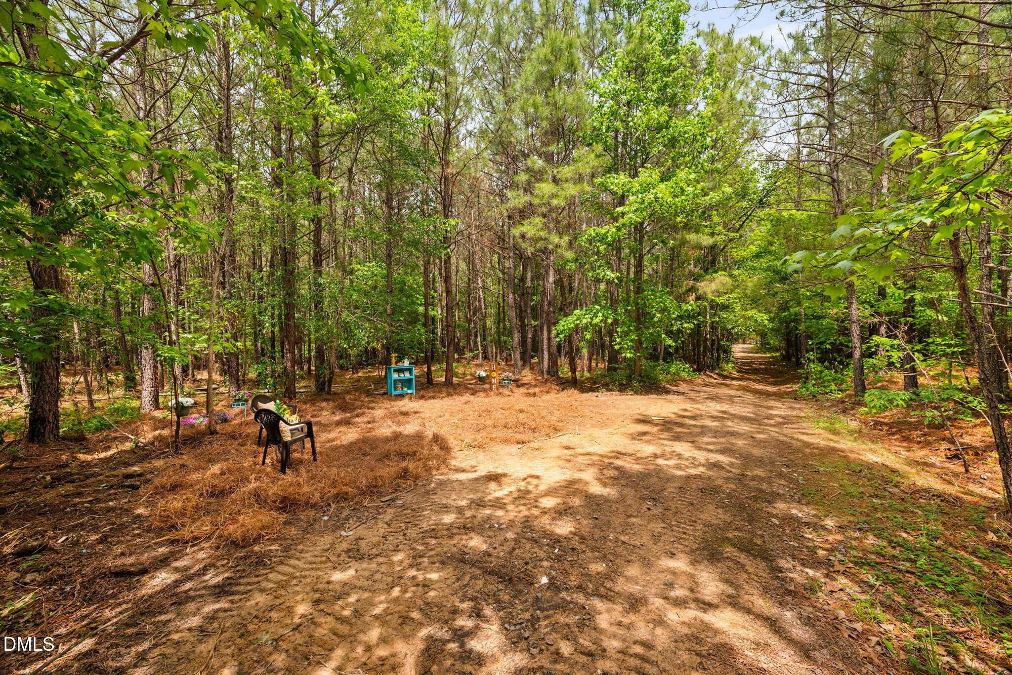 0 South Plank Road, Unit TRACK 2 Sanford, NC 27330 - Photo 18 of 39 a view of a park with large trees