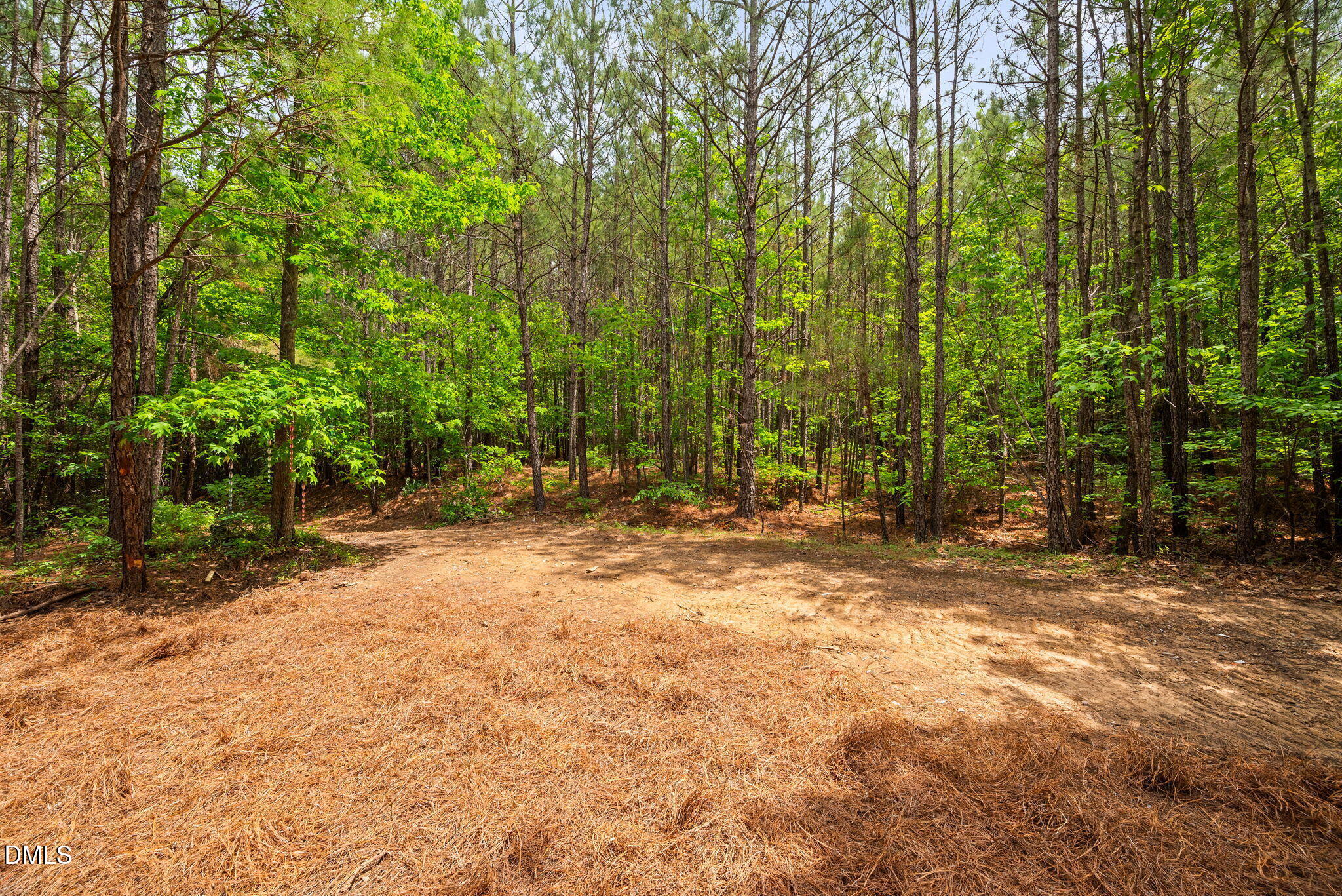 0 South Plank Road, Unit TRACK 2 Sanford, NC 27330 - Photo 19 of 39 a view of a field with trees in the background