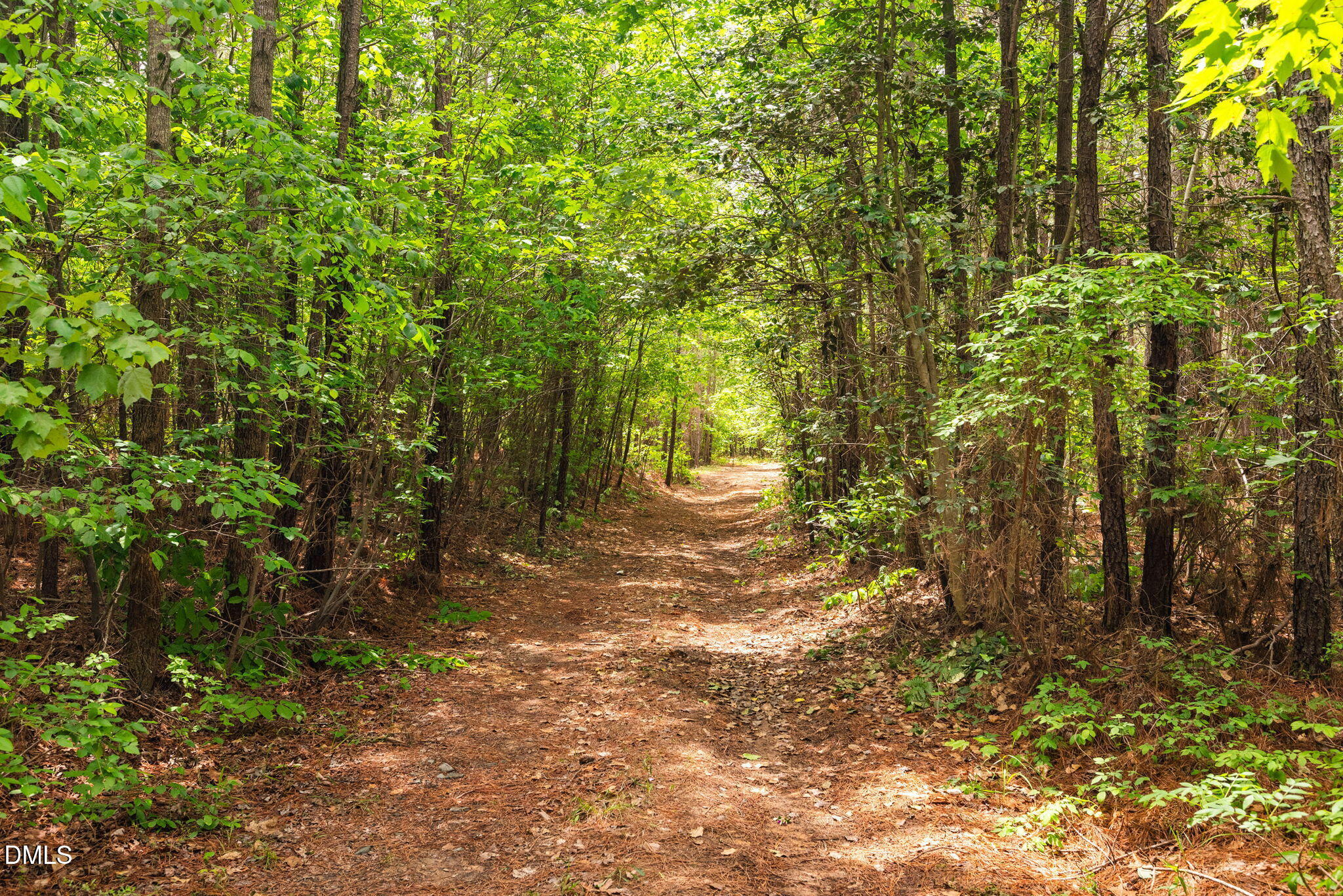 0 South Plank Road, Unit TRACK 2 Sanford, NC 27330 - Photo 20 of 39 a view of a forest with trees
