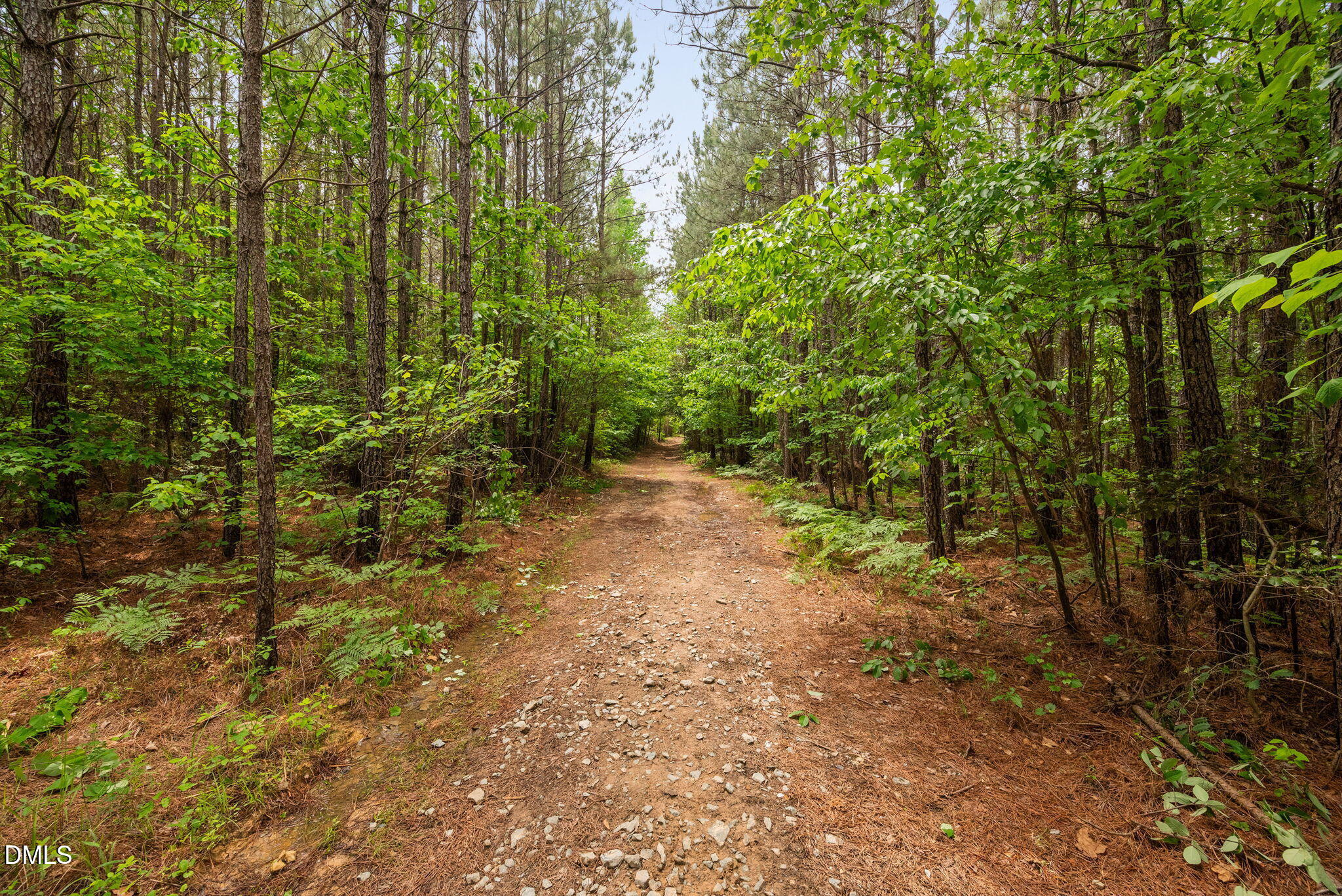 0 South Plank Road, Unit TRACK 2 Sanford, NC 27330 - Photo 21 of 39 a view of a forest with trees in the background