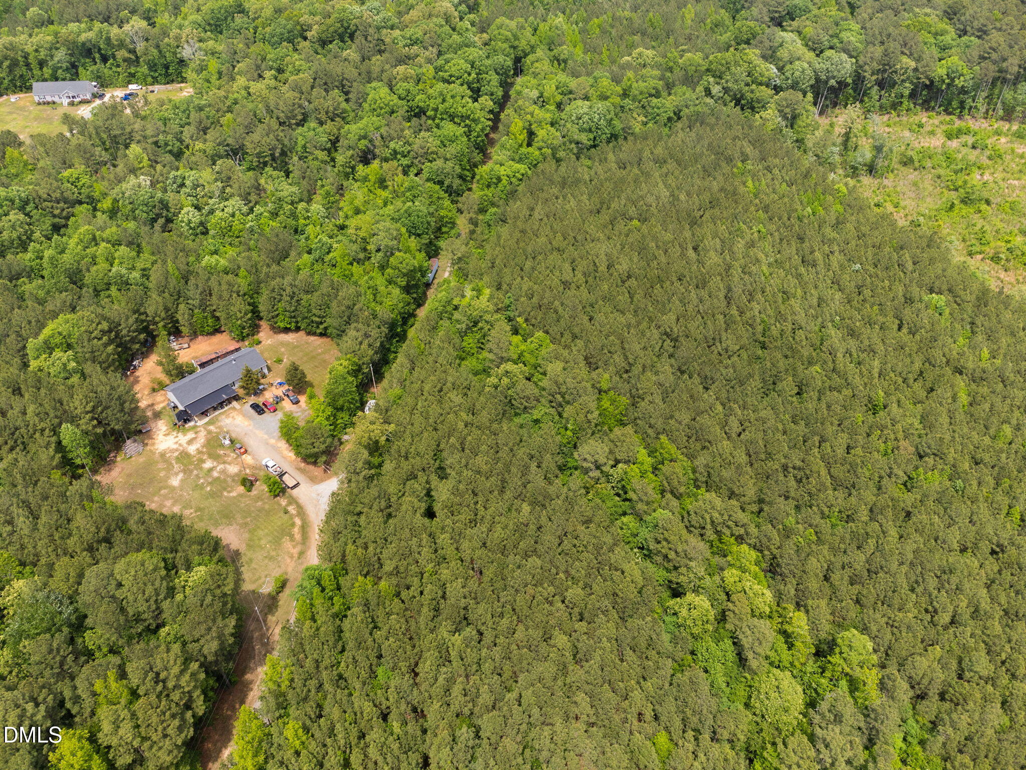 0 South Plank Road, Unit TRACK 2 Sanford, NC 27330 - Photo 22 of 39 a close up of a plant in a garden