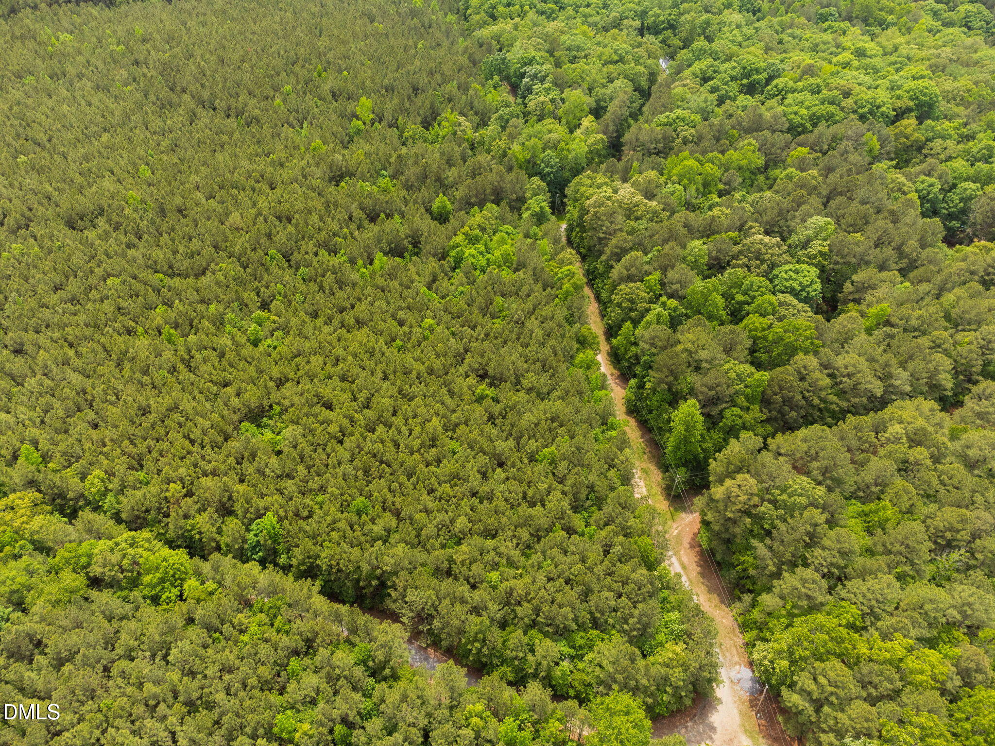 0 South Plank Road, Unit TRACK 2 Sanford, NC 27330 - Photo 23 of 39 a view of a big yard with plants and large trees