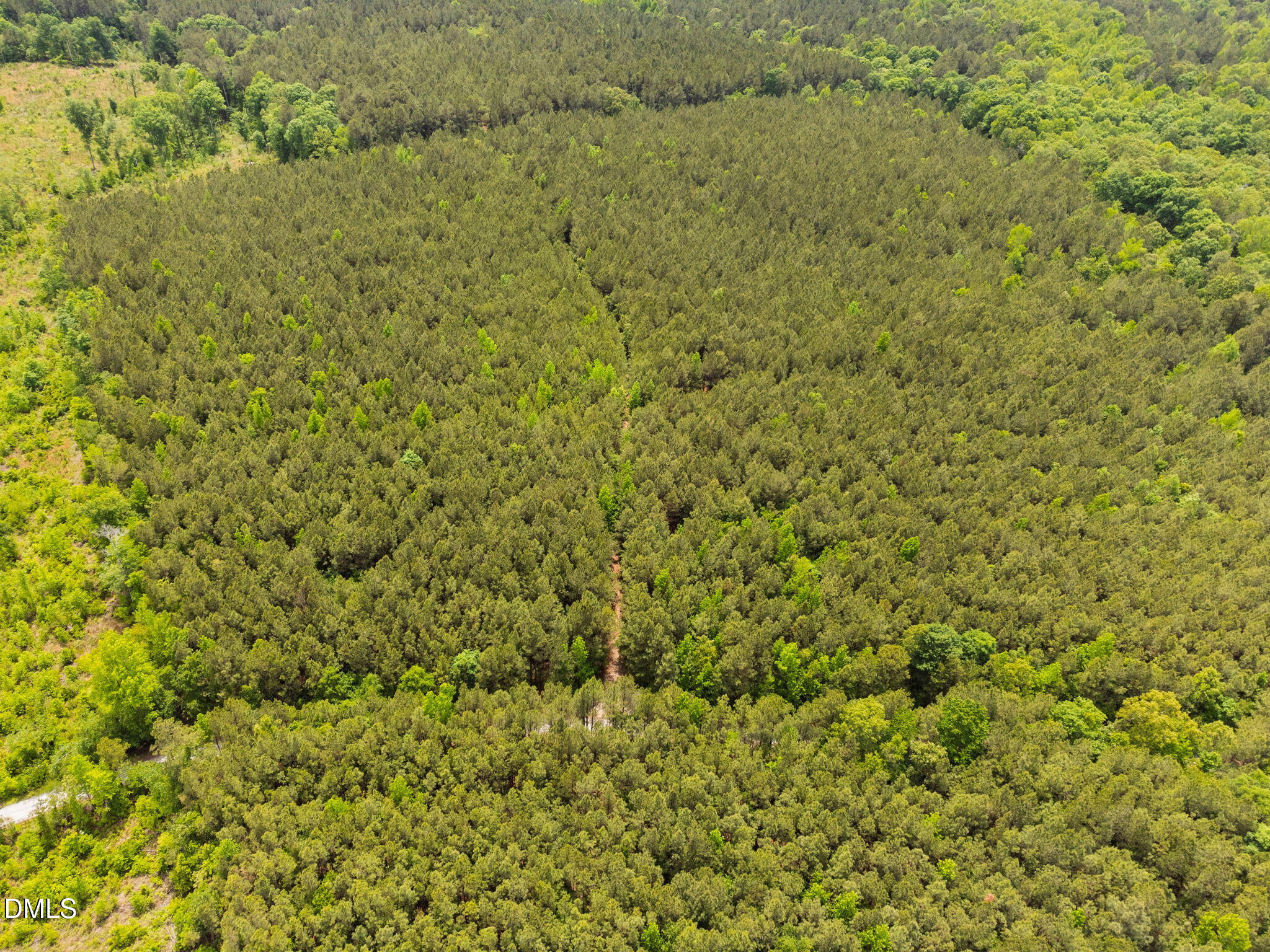 0 South Plank Road, Unit TRACK 2 Sanford, NC 27330 - Photo 25 of 39 a view of a big yard with plants and wooden floor