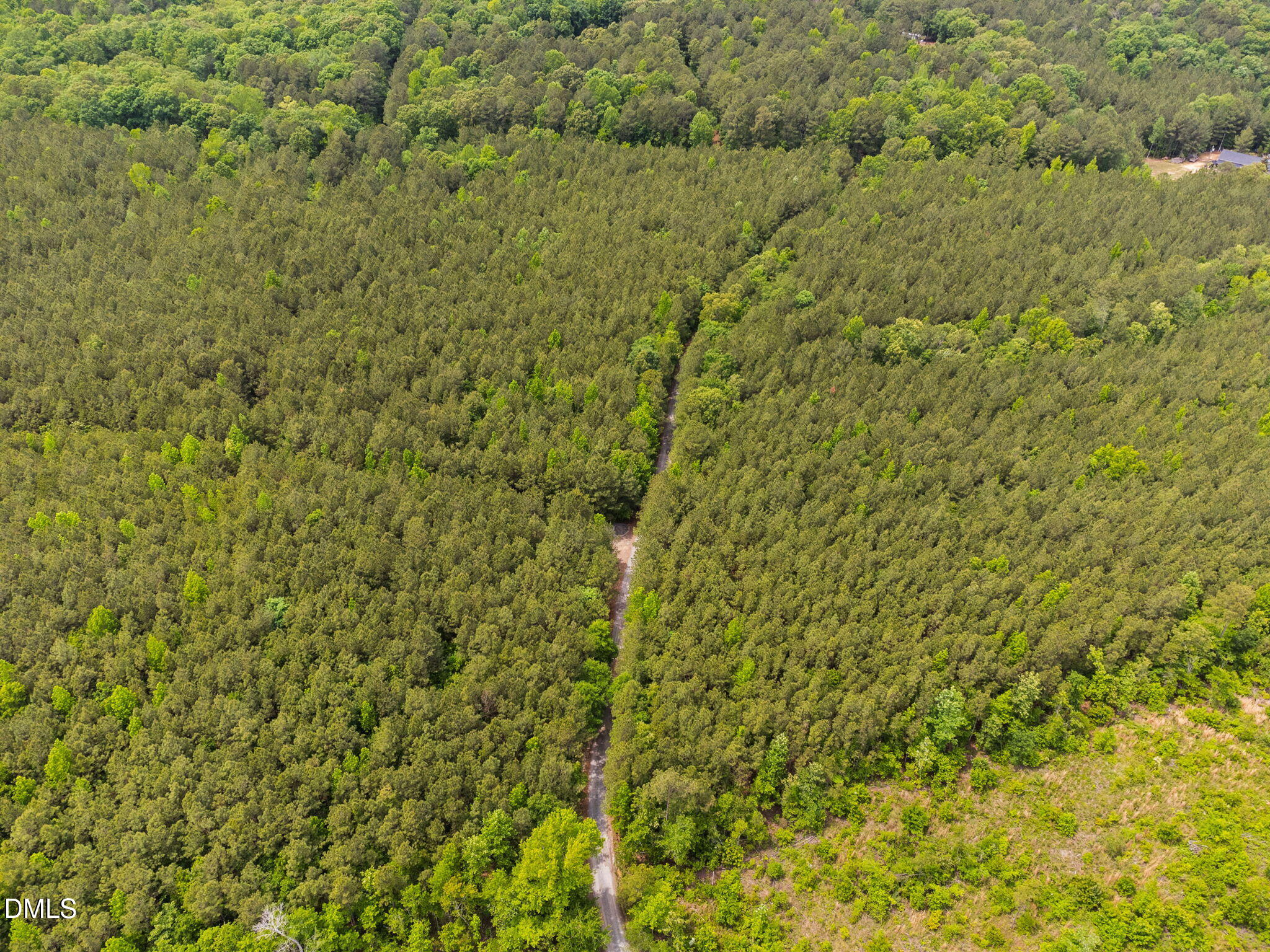 0 South Plank Road, Unit TRACK 2 Sanford, NC 27330 - Photo 31 of 39 a view of a bunch of trees and bushes
