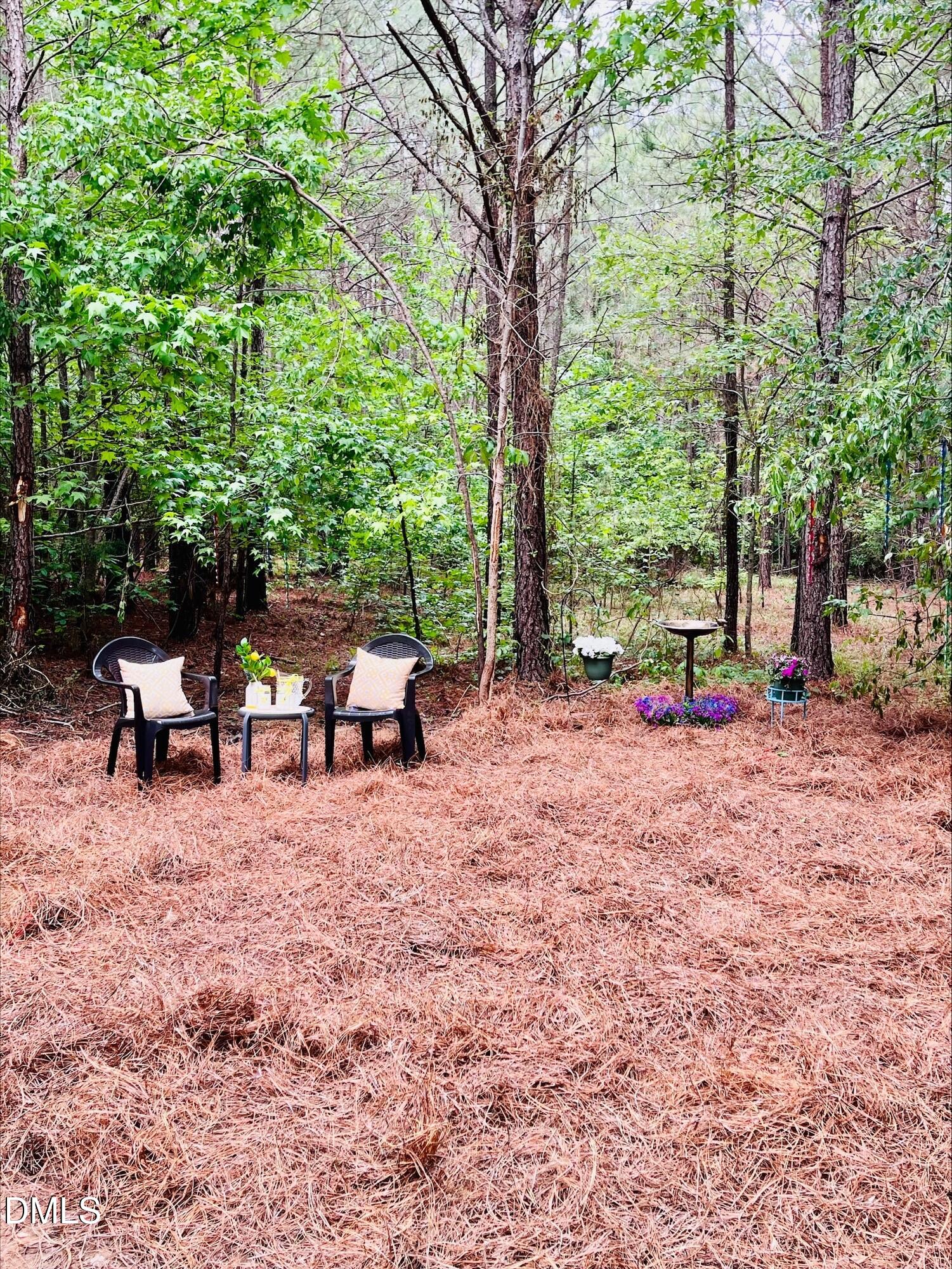0 South Plank Road, Unit TRACK 2 Sanford, NC 27330 - Photo 7 of 39 a view of a backyard with lawn chairs and a large tree